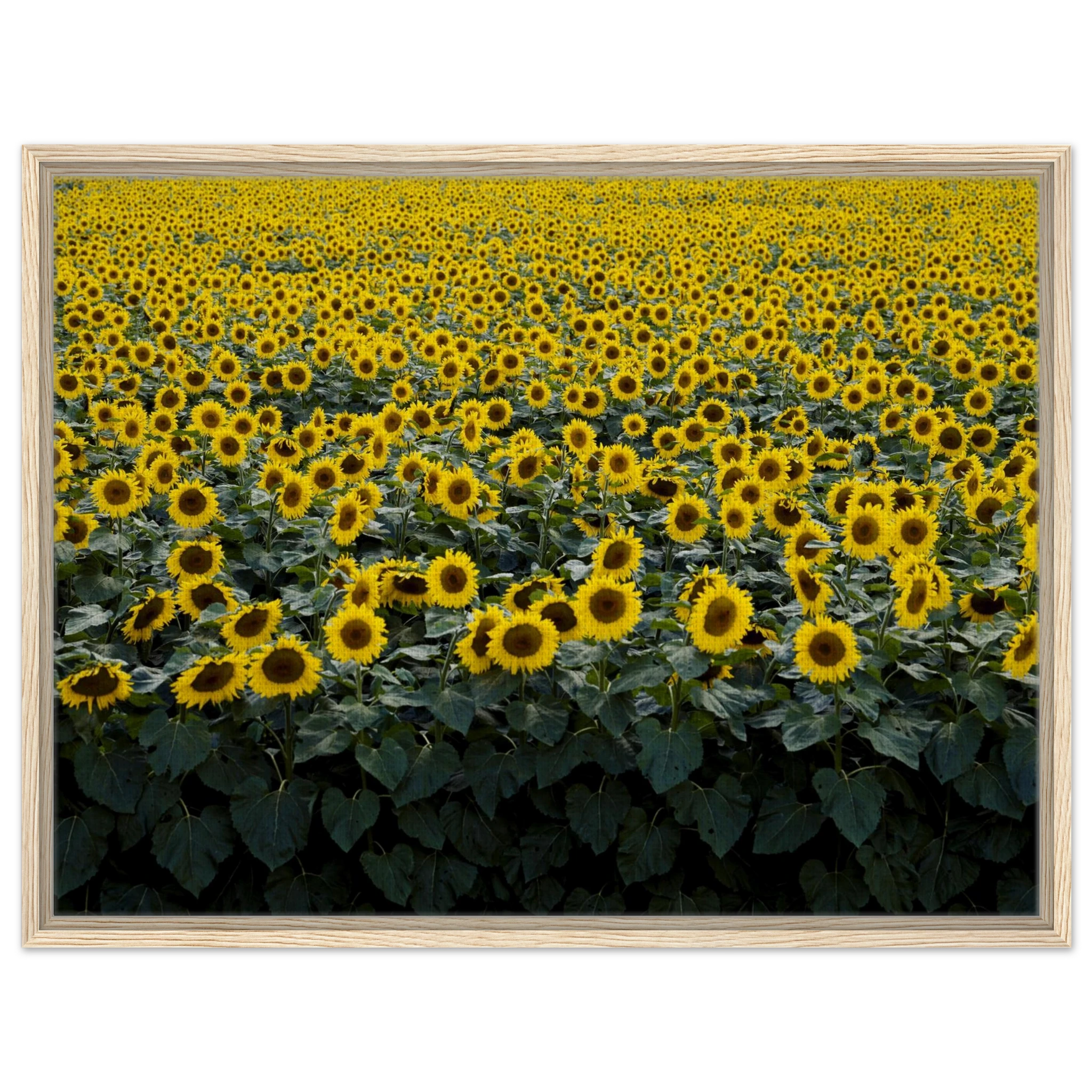 9db4e2db-b2ac-4500-b5a3-647d878130a3