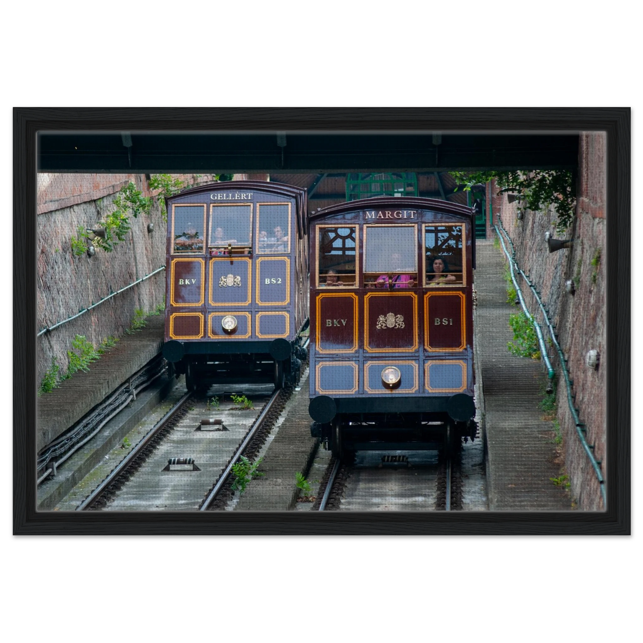 9e97b90c-18ae-491b-b24b-80d998c3f020