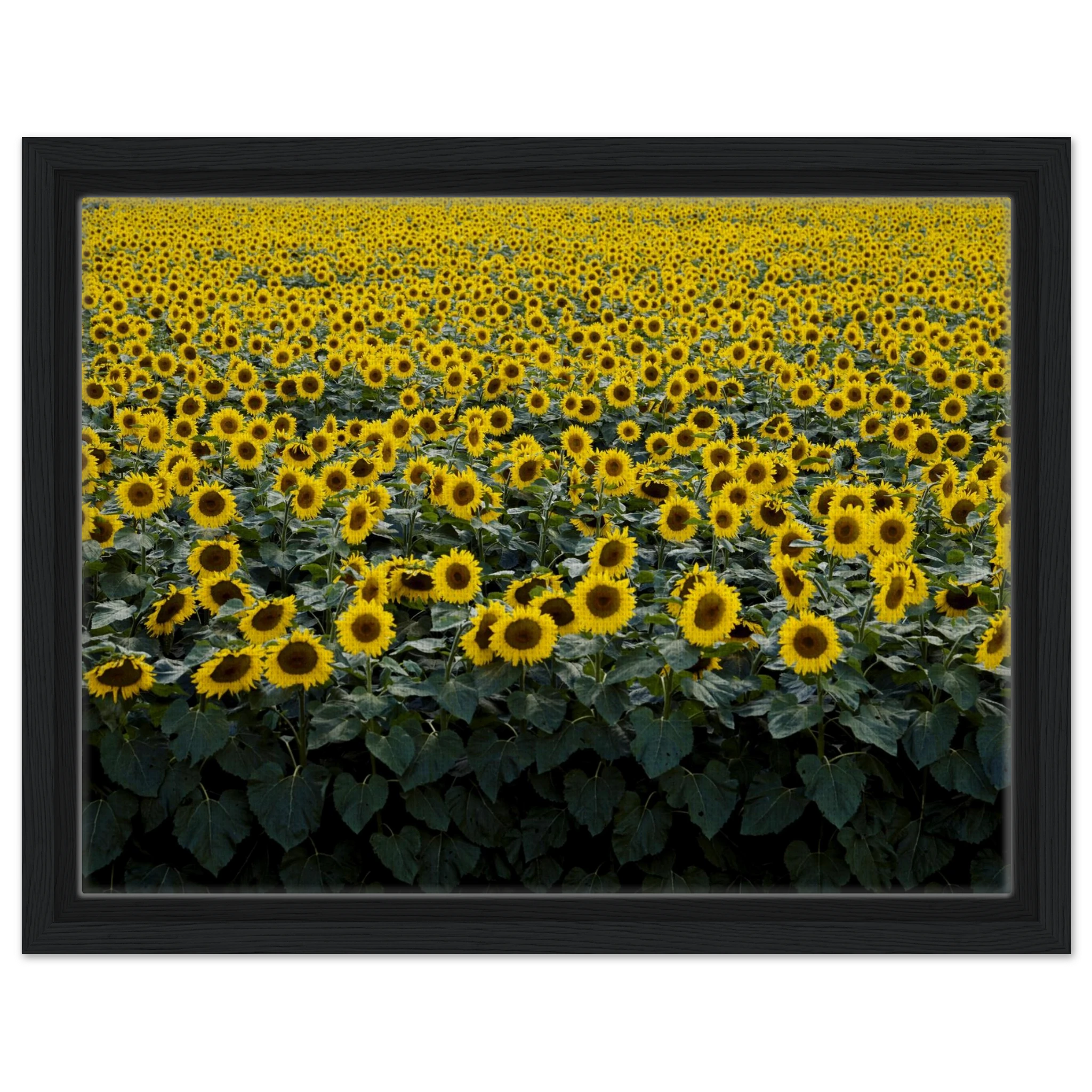 9f905908-6686-46dc-bd07-0086878a0d58