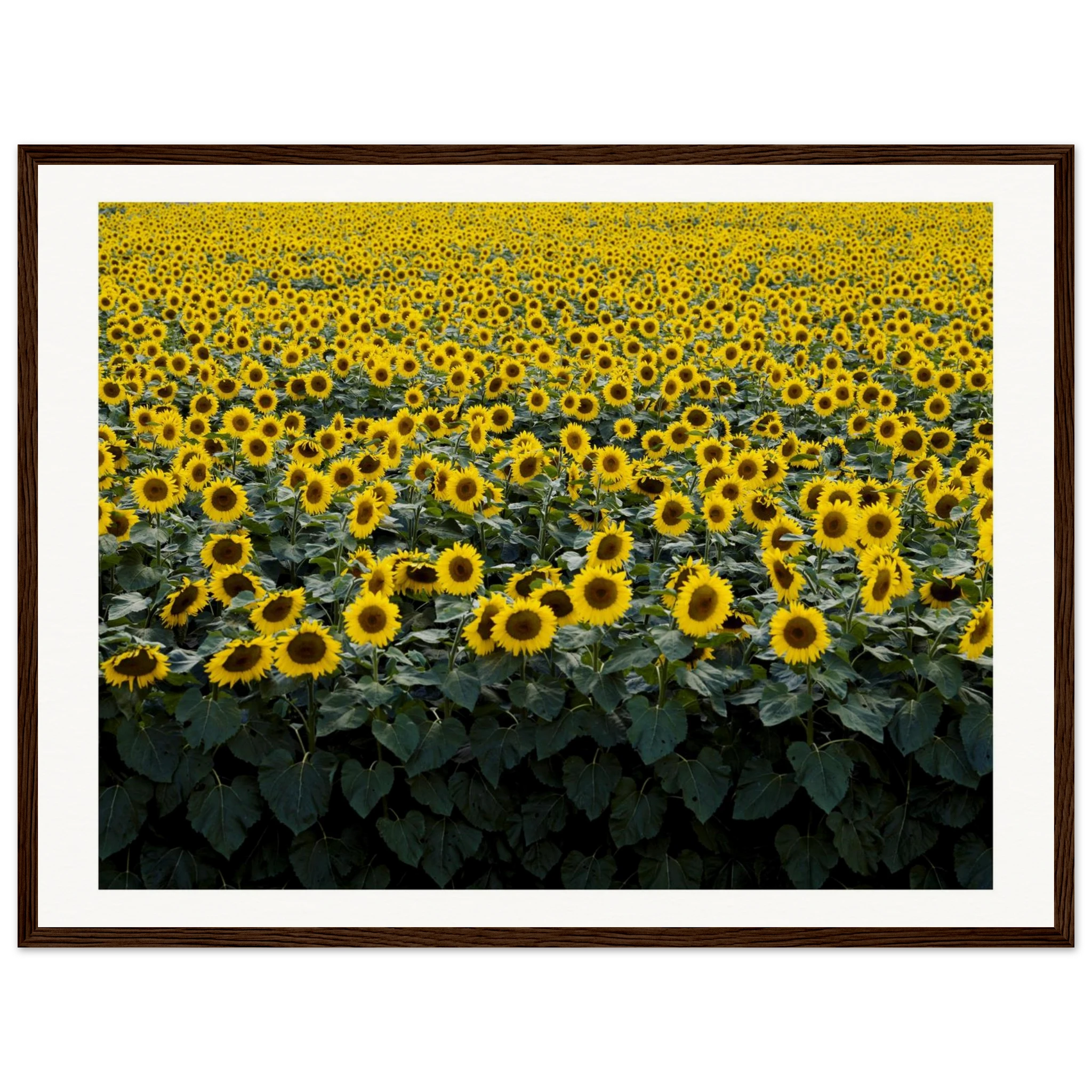 a229313a-b035-4b84-a1d1-304031116801