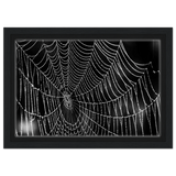 a25c0b90-7143-4111-92a7-7373e16e45cf