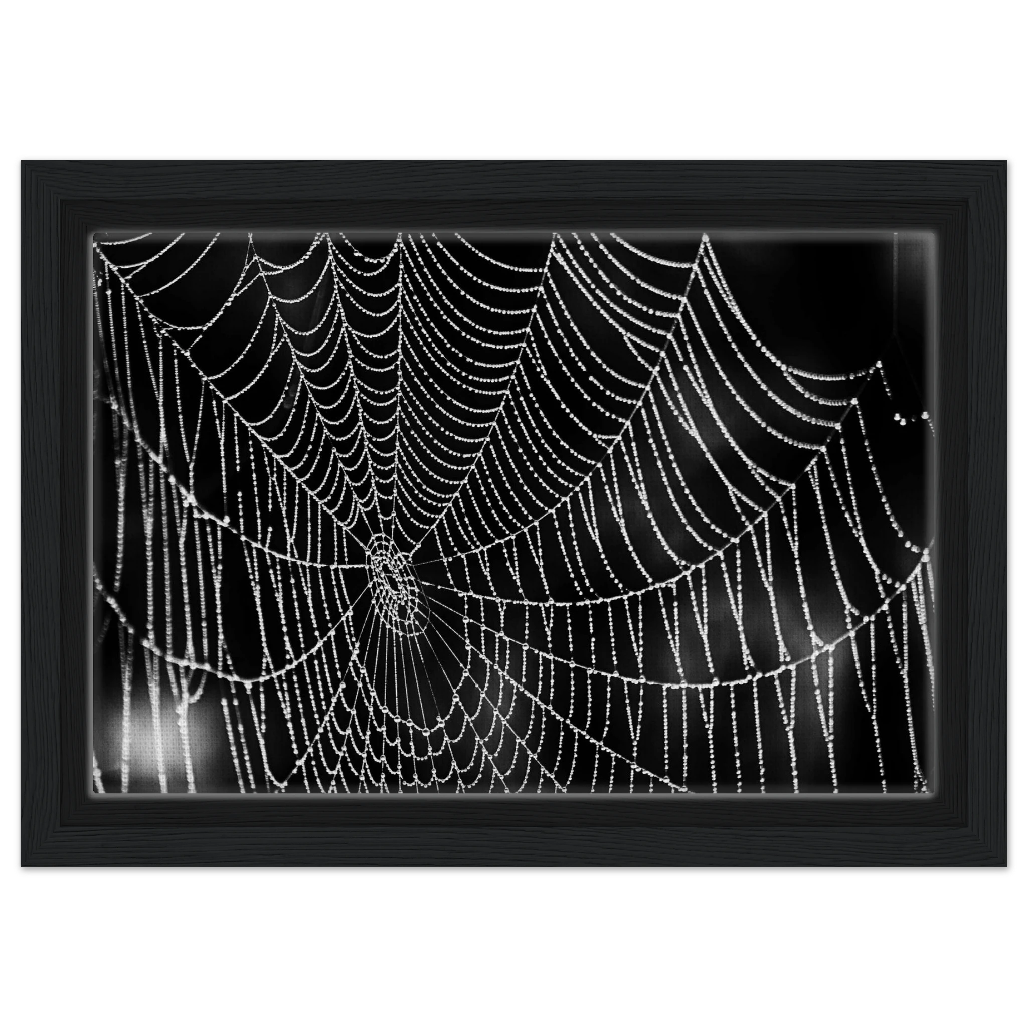 a25c0b90-7143-4111-92a7-7373e16e45cf