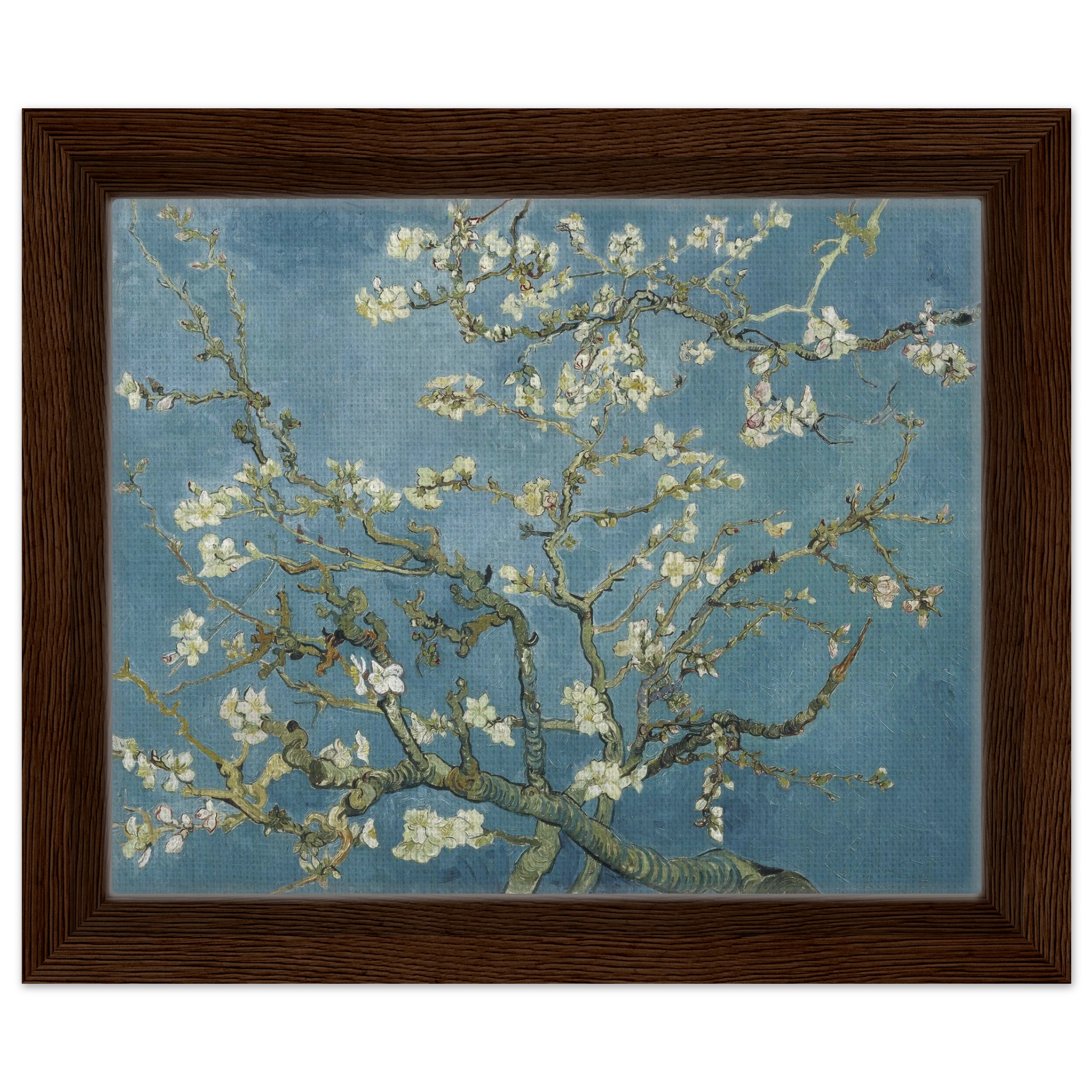 a6244f84-d967-46b6-9a91-f59600edc394