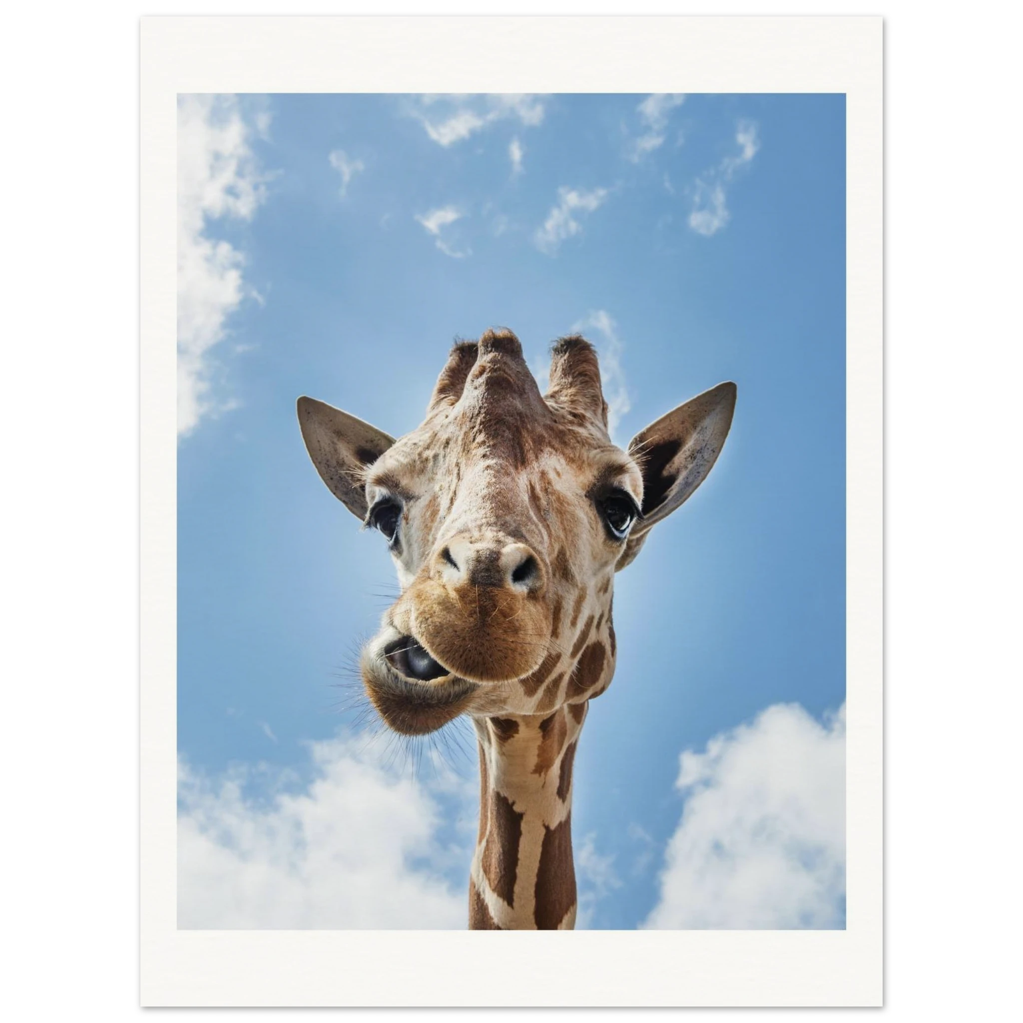 a9954a30-cb54-44e5-b8d1-eaa1d38bb109