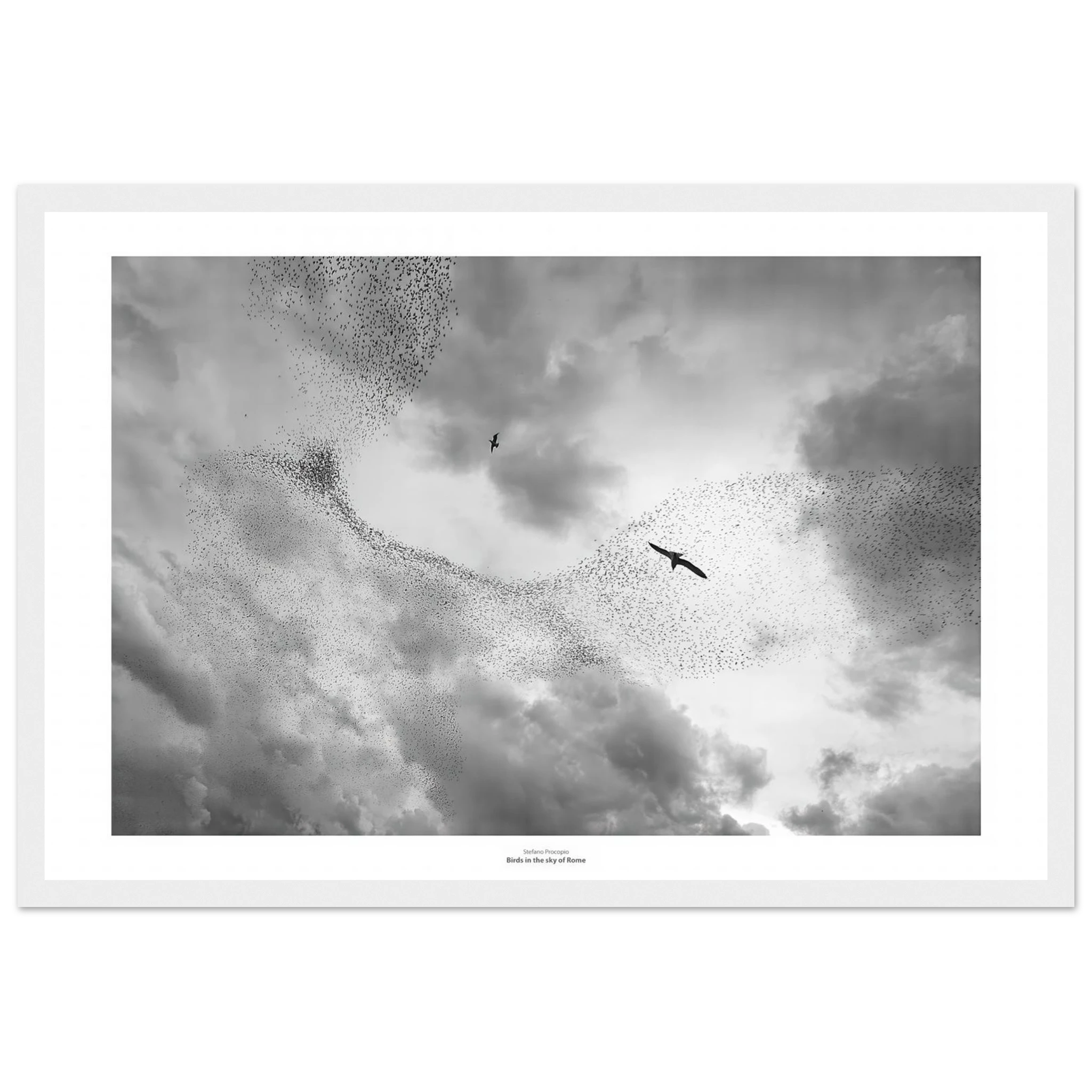 ad62e0da-2f6a-47c2-825d-2902b27e036a