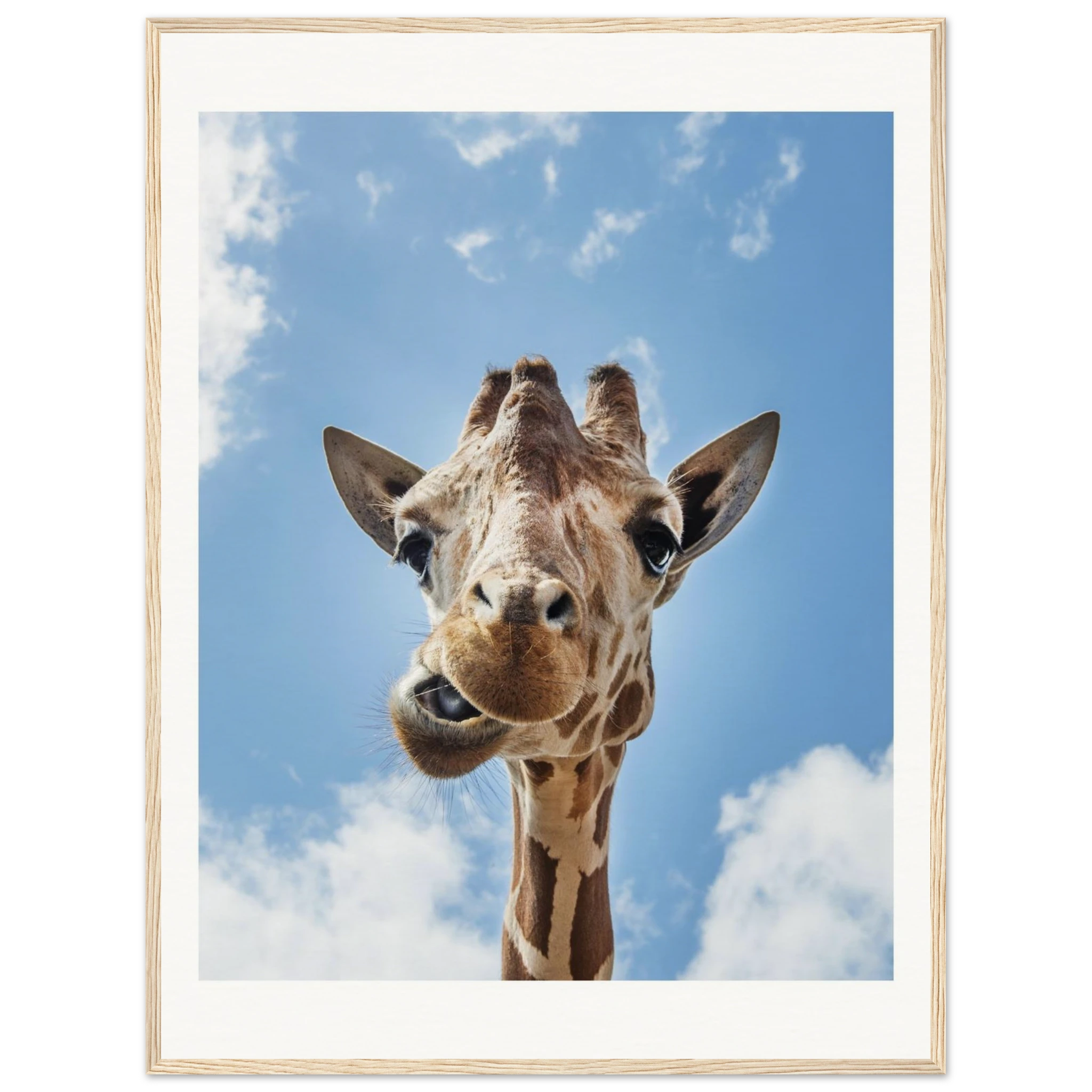 adbc0626-73be-44c1-af8a-975774ce535a