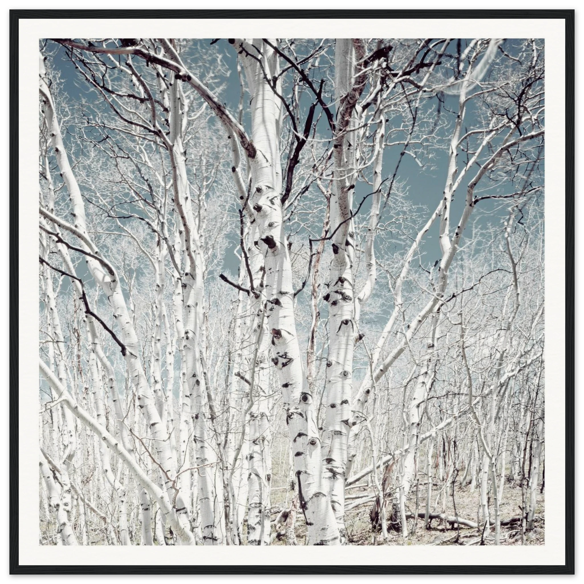 af2585e7-d536-45f8-a5b6-8a7aa2f48729