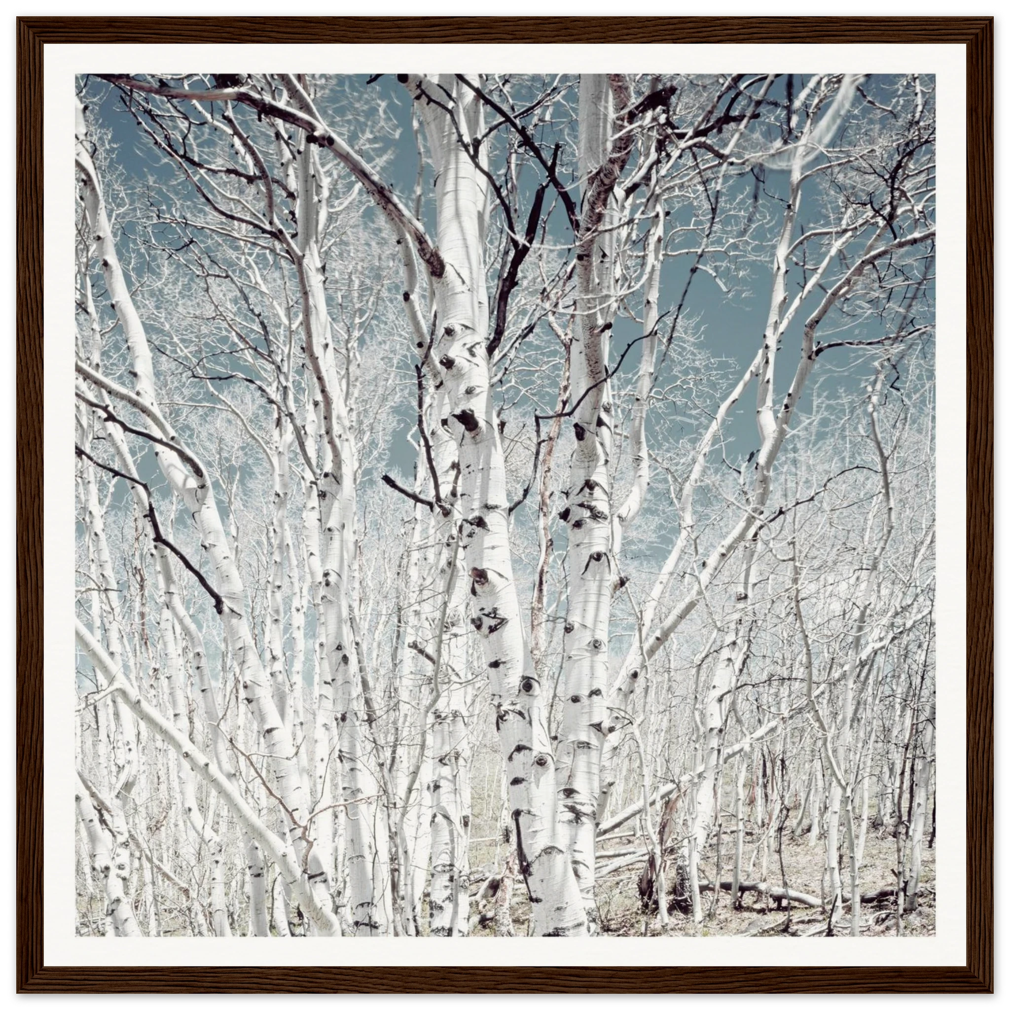 b06aabc4-5d74-486c-adff-401d6764abaa