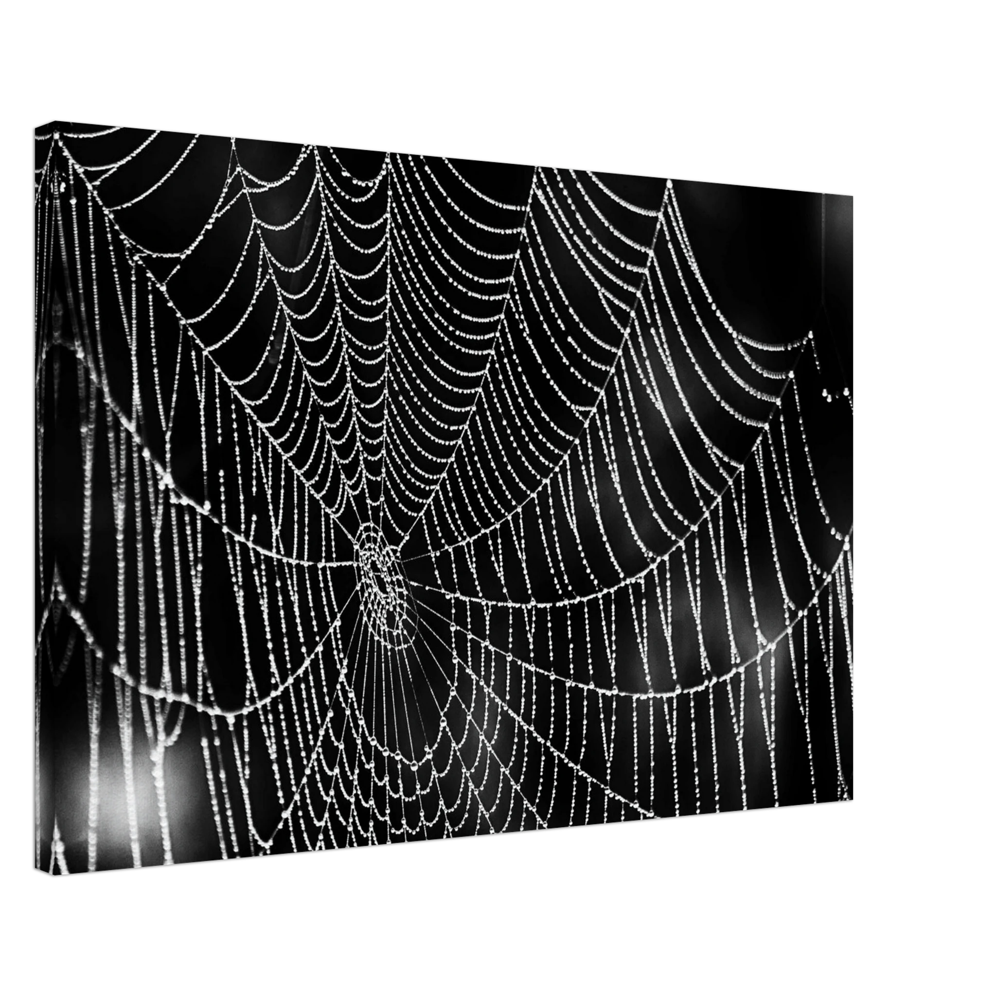 b0b36263-e1bb-4599-be1d-44440ba6c2fd