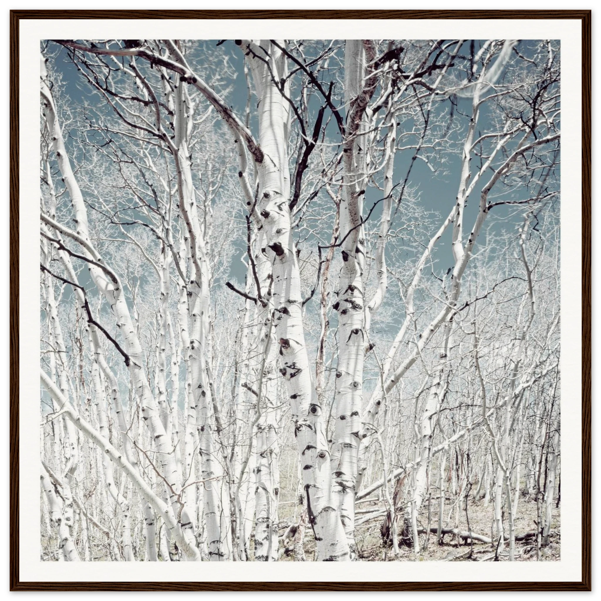 b72753f0-7a30-4963-868c-512fffb46aef