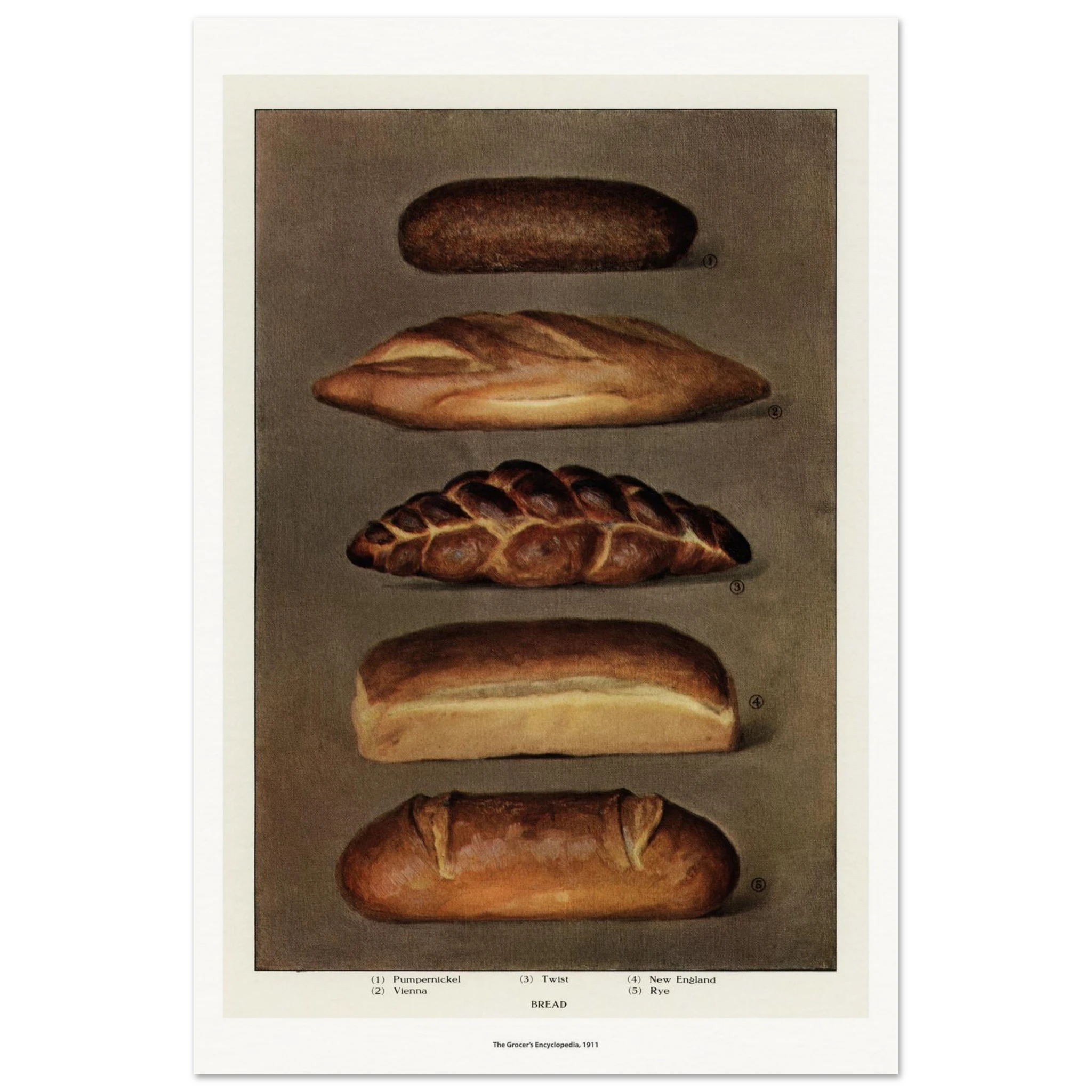 b8e4ae72-ca1d-492b-a501-22eff036d3ca