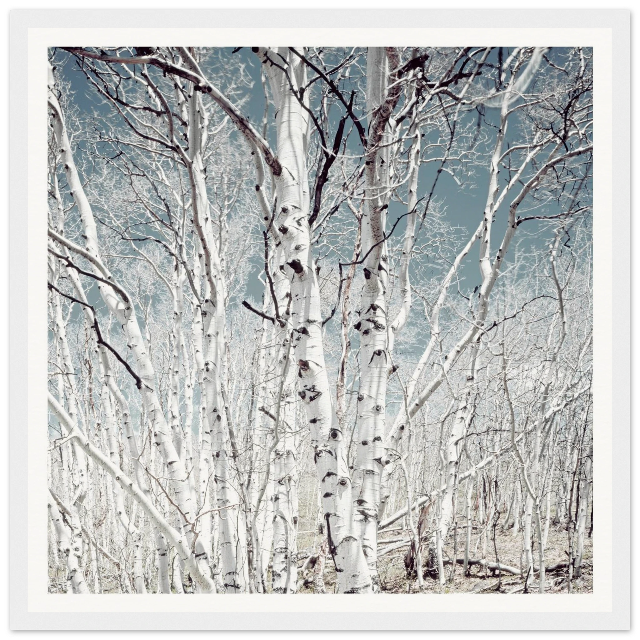 b9339fb9-85cb-4333-a37b-1213656efb19