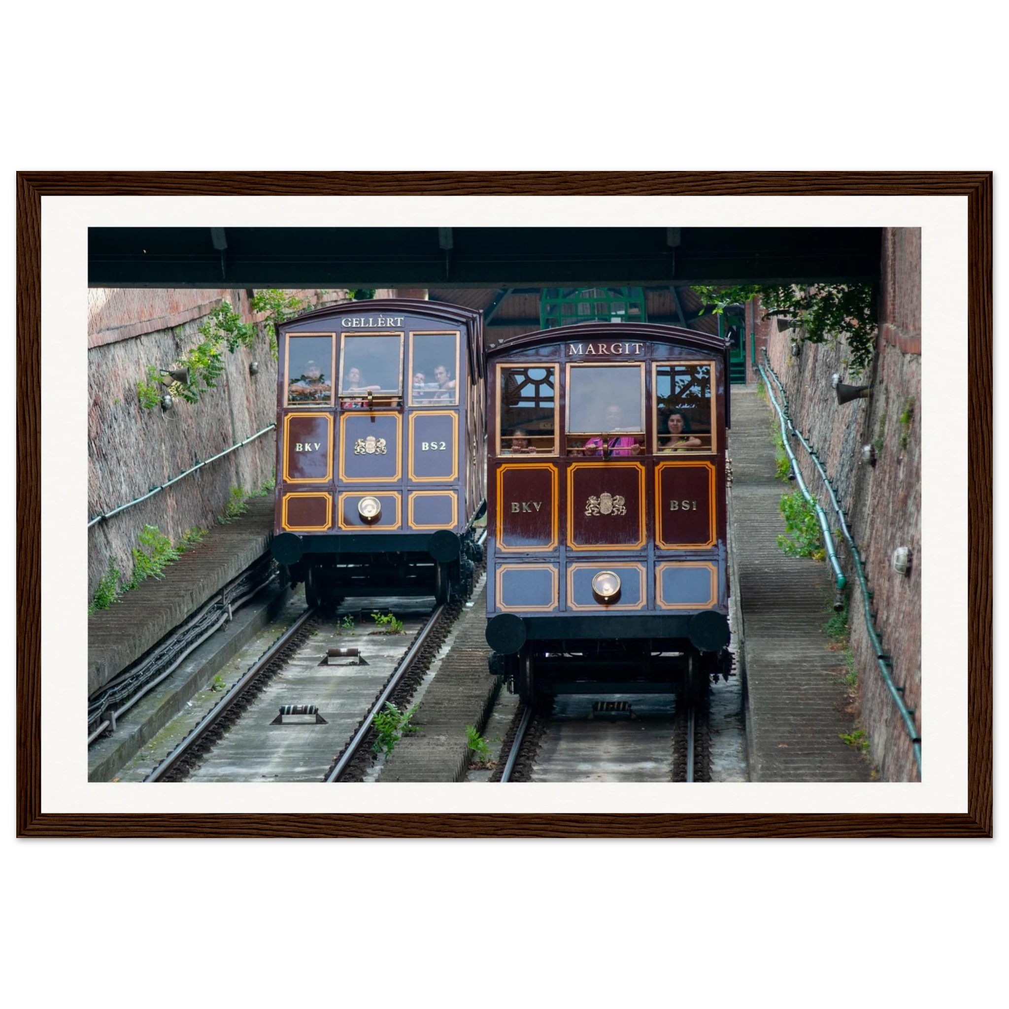 bd3d3068-a6bd-4331-b3e6-1a068ec01f66