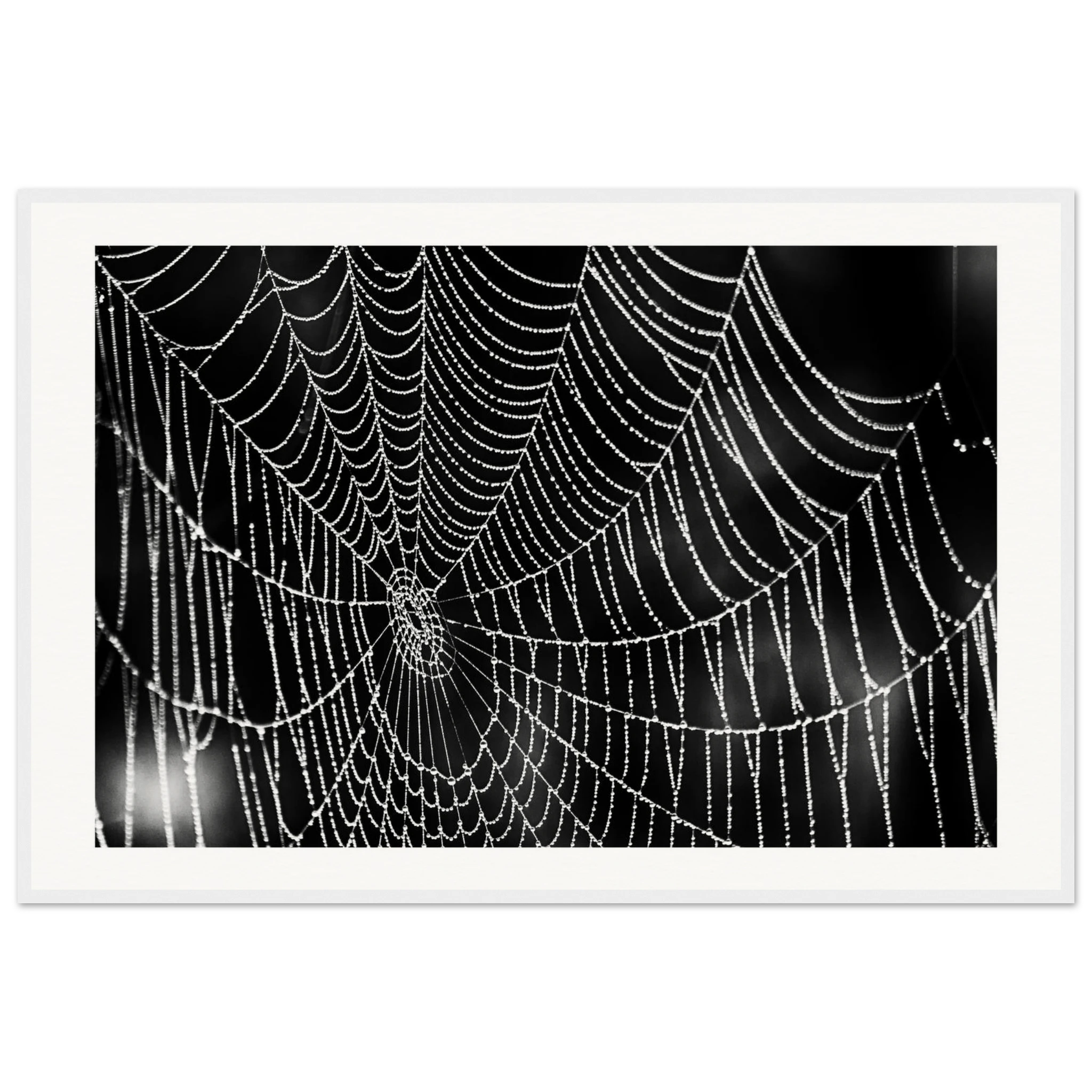 bf22a524-2d80-46d5-a8e4-5ca1d1fe6c18