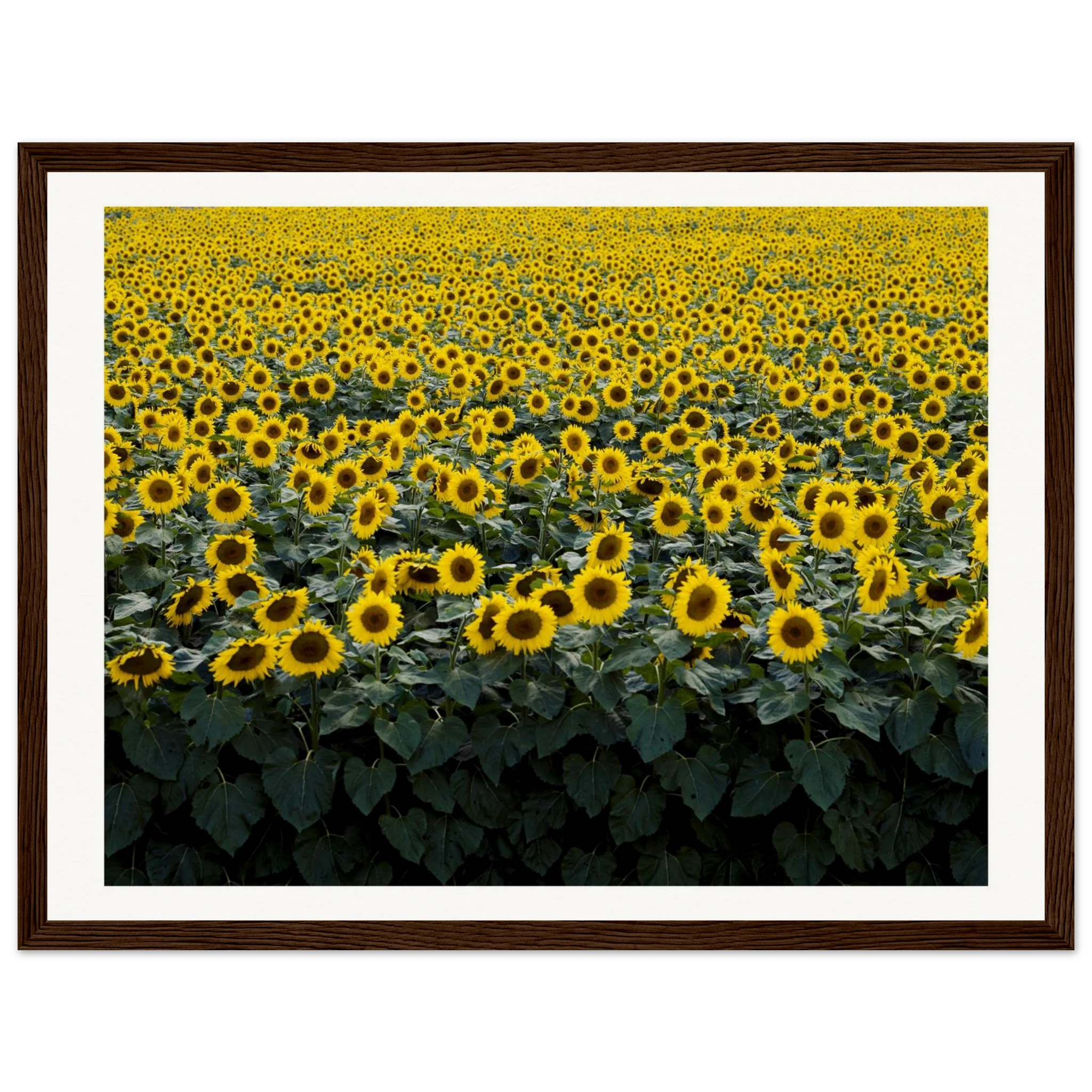 c3197d34-b76a-4000-bc21-6b250ad7df88