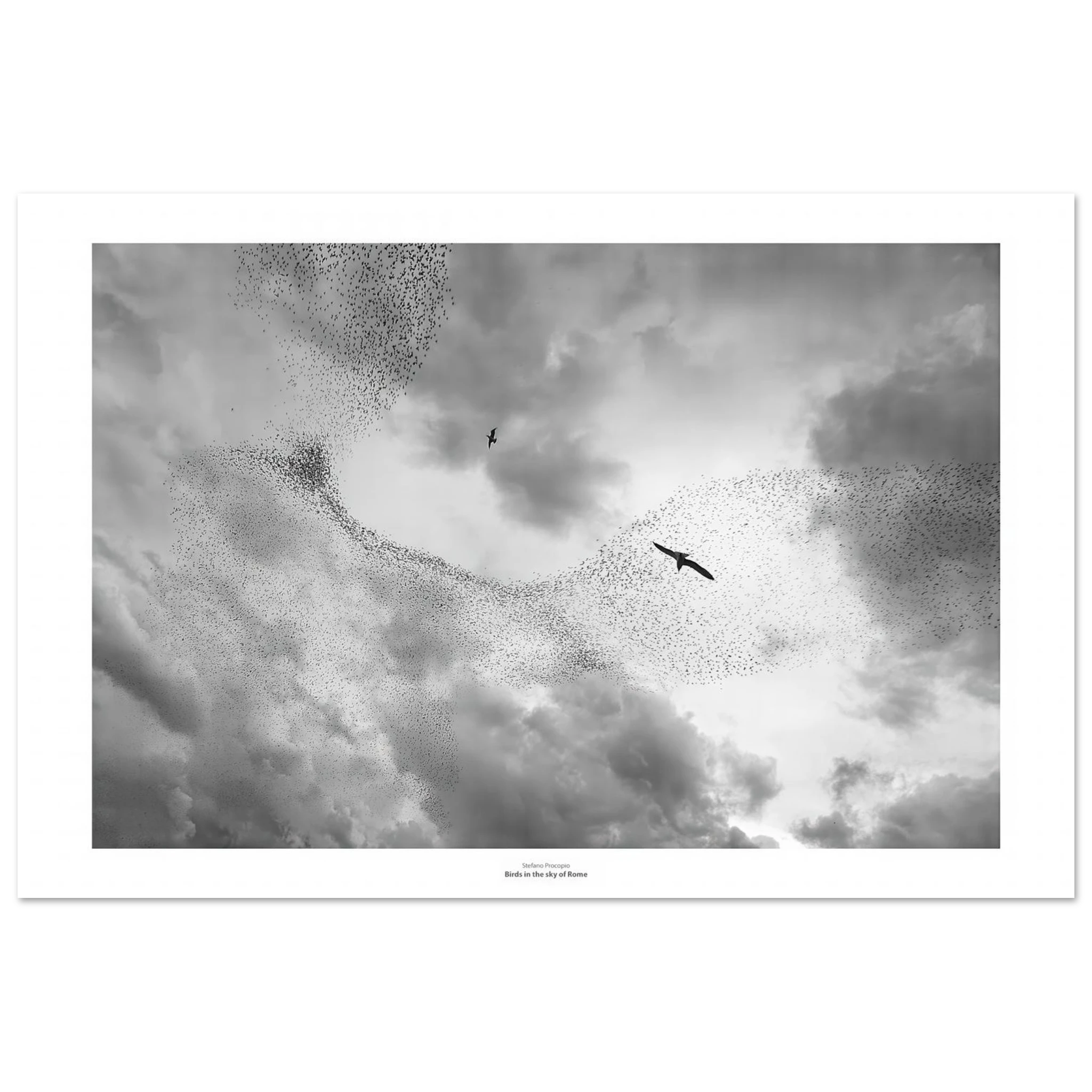 c8a98a06-412d-4156-b522-7142e0a2903a