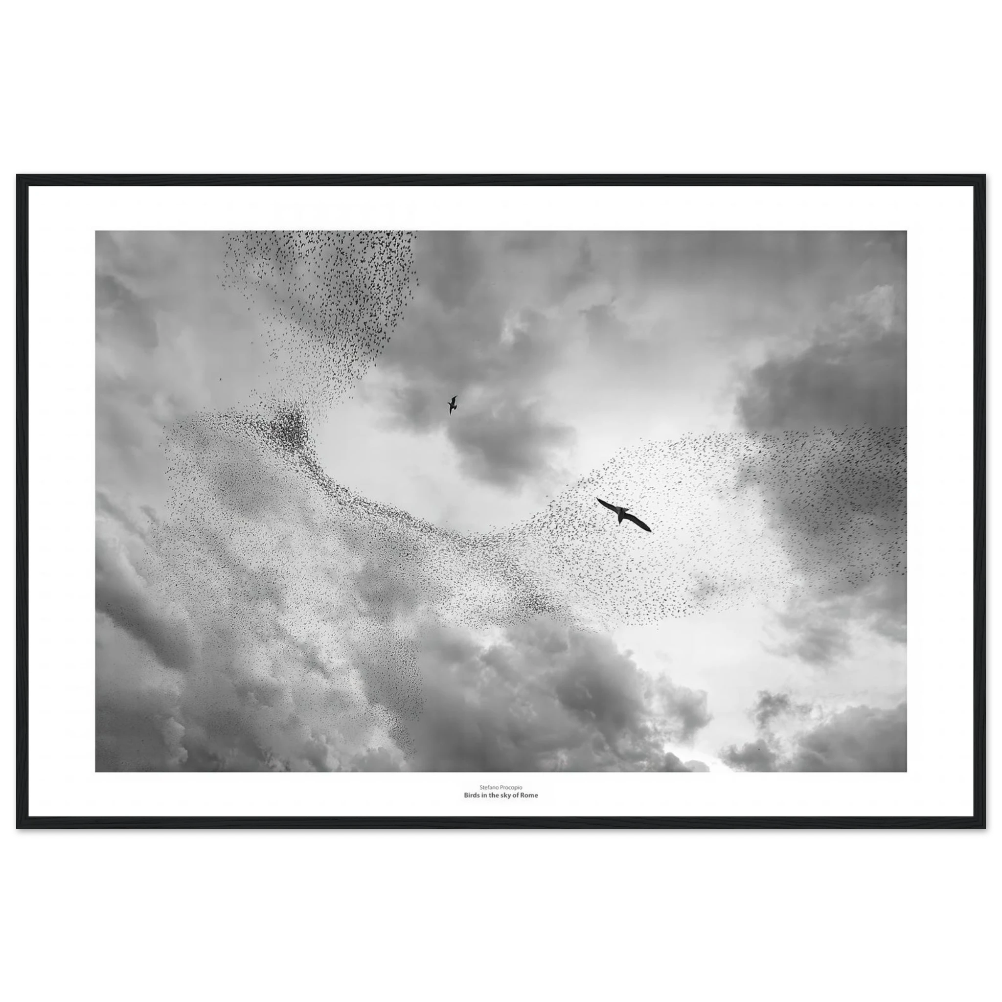 cb86d8c2-1416-4ad4-994a-4e7248419b52