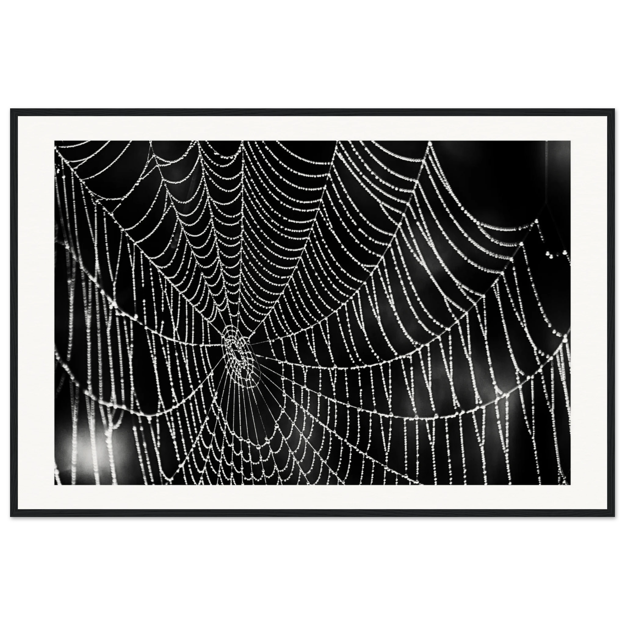 cc21fa42-0c78-488c-8f8f-587911ded528