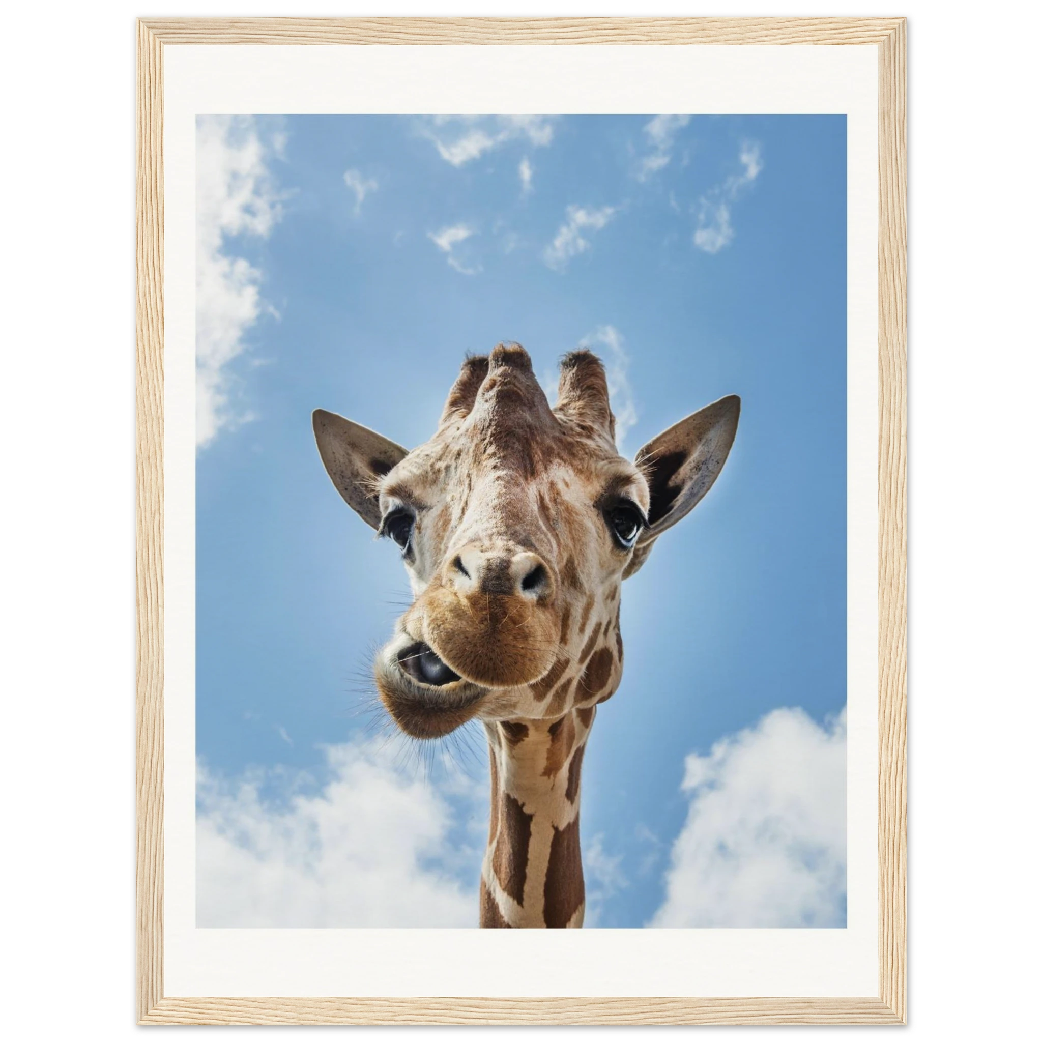 cc84335f-41ad-45ec-b1e1-6852153339d2