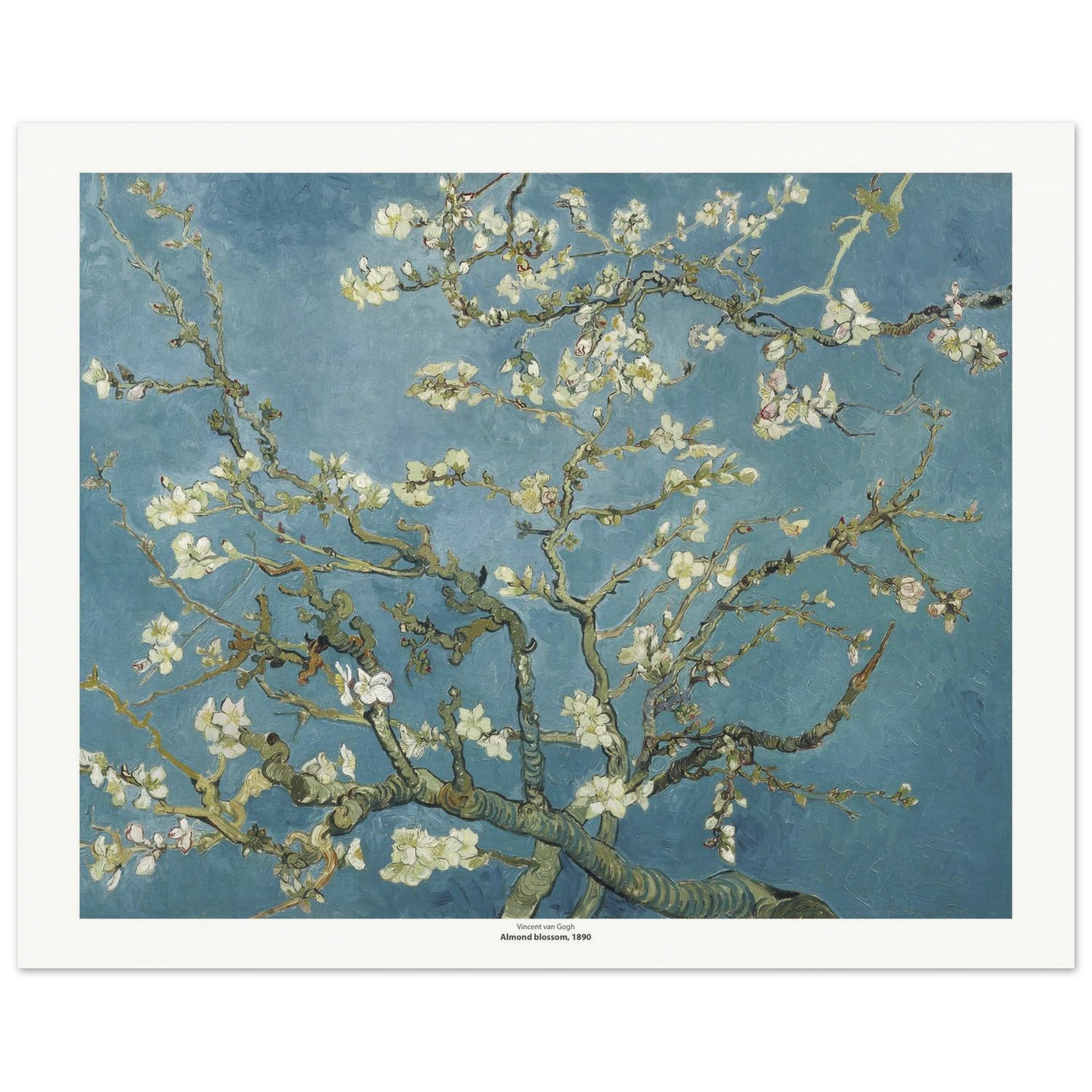 ce5e5dda-e8c0-4f69-bc84-a26e9bcd99f5