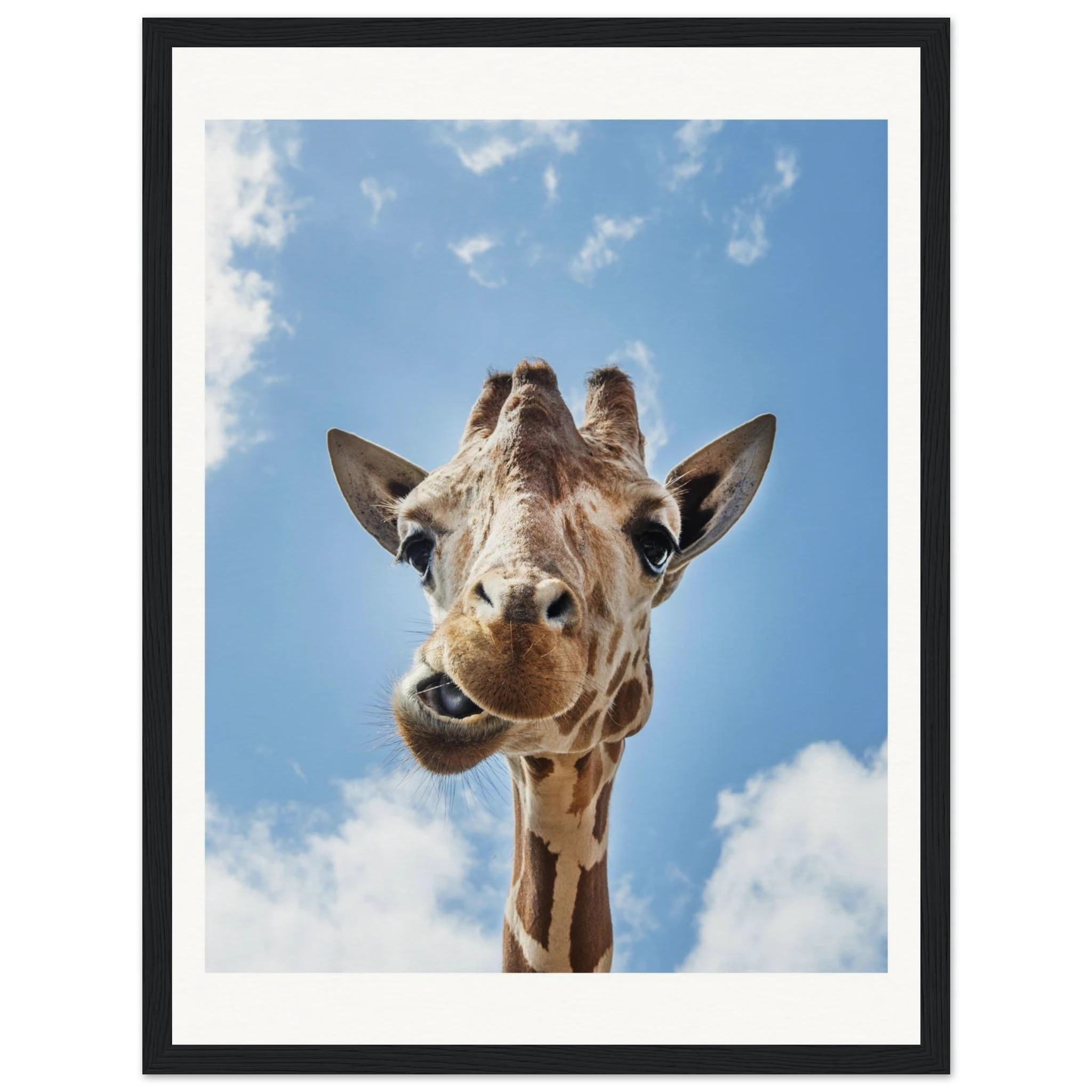 cf39a277-e83b-491e-a40f-12b7a0777f01