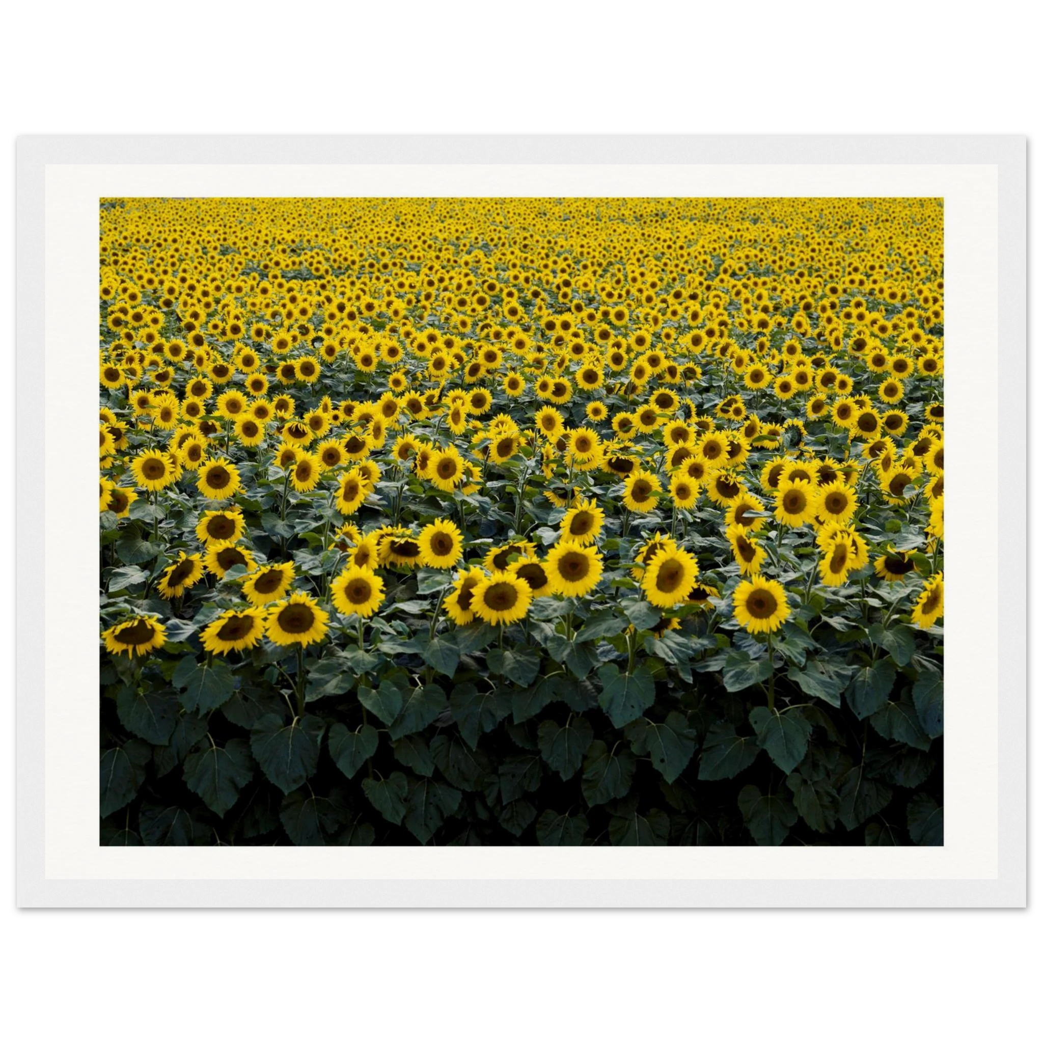 d026e0bb-8074-413e-a6e3-daac3f8e921e