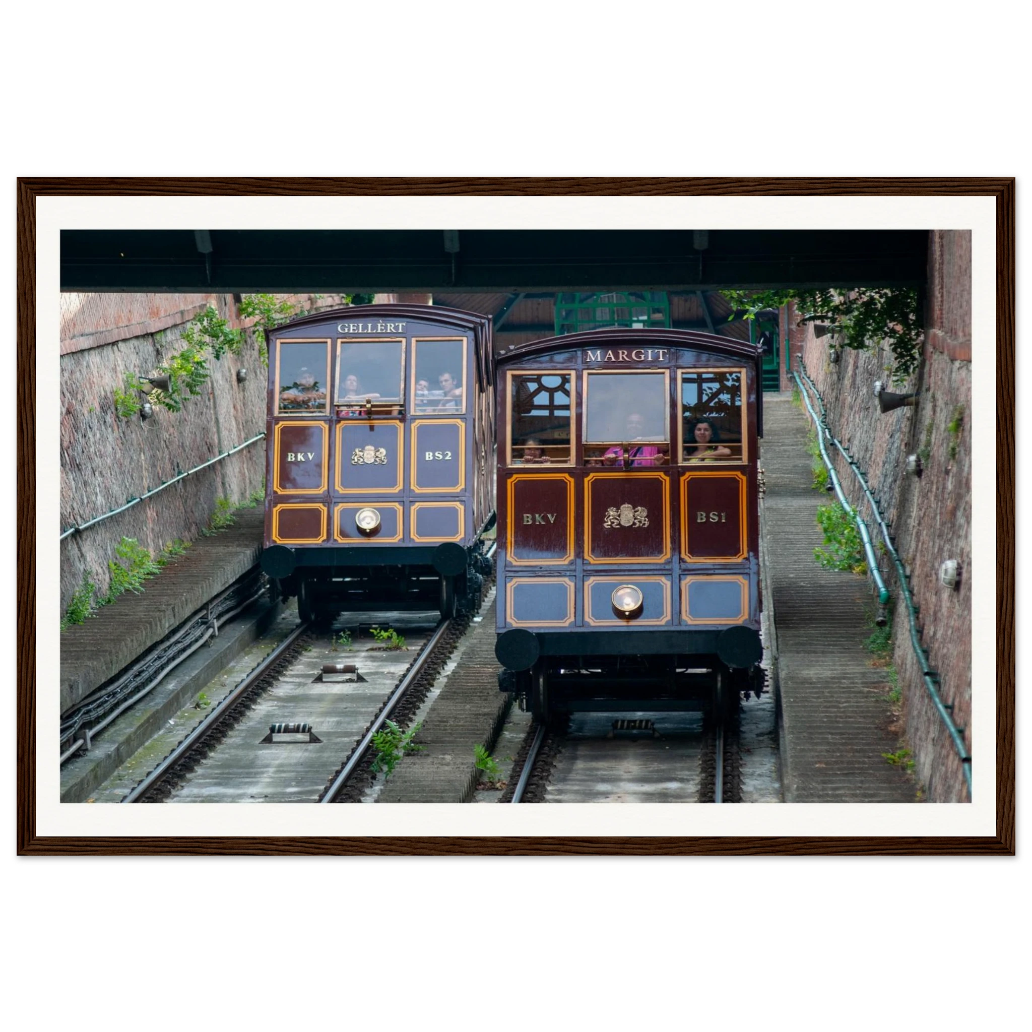 d11fc00b-6bf4-427f-a9fd-1f0f1618c1ba