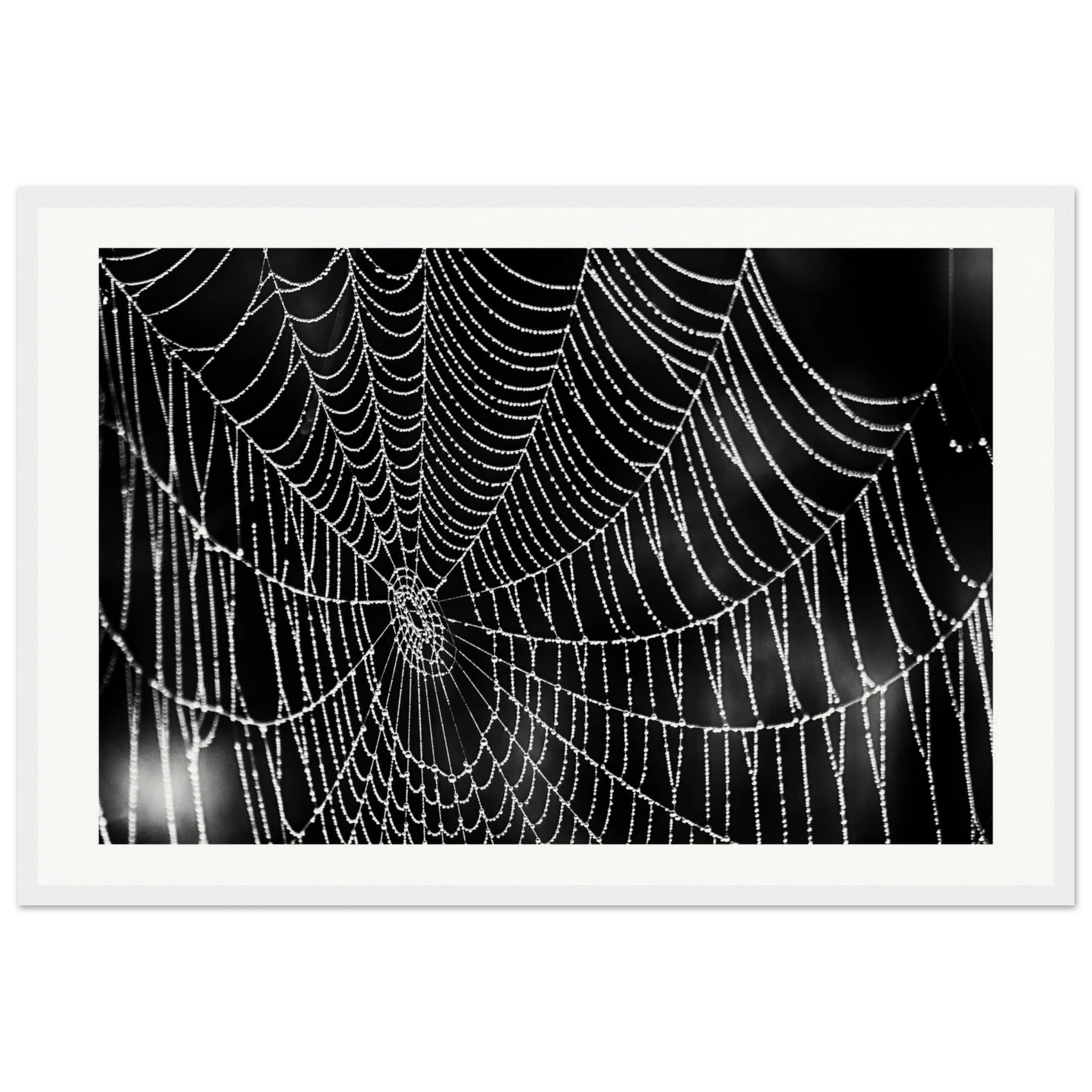 d17bce3c-ec67-4763-9fc1-59abd9d13ba2