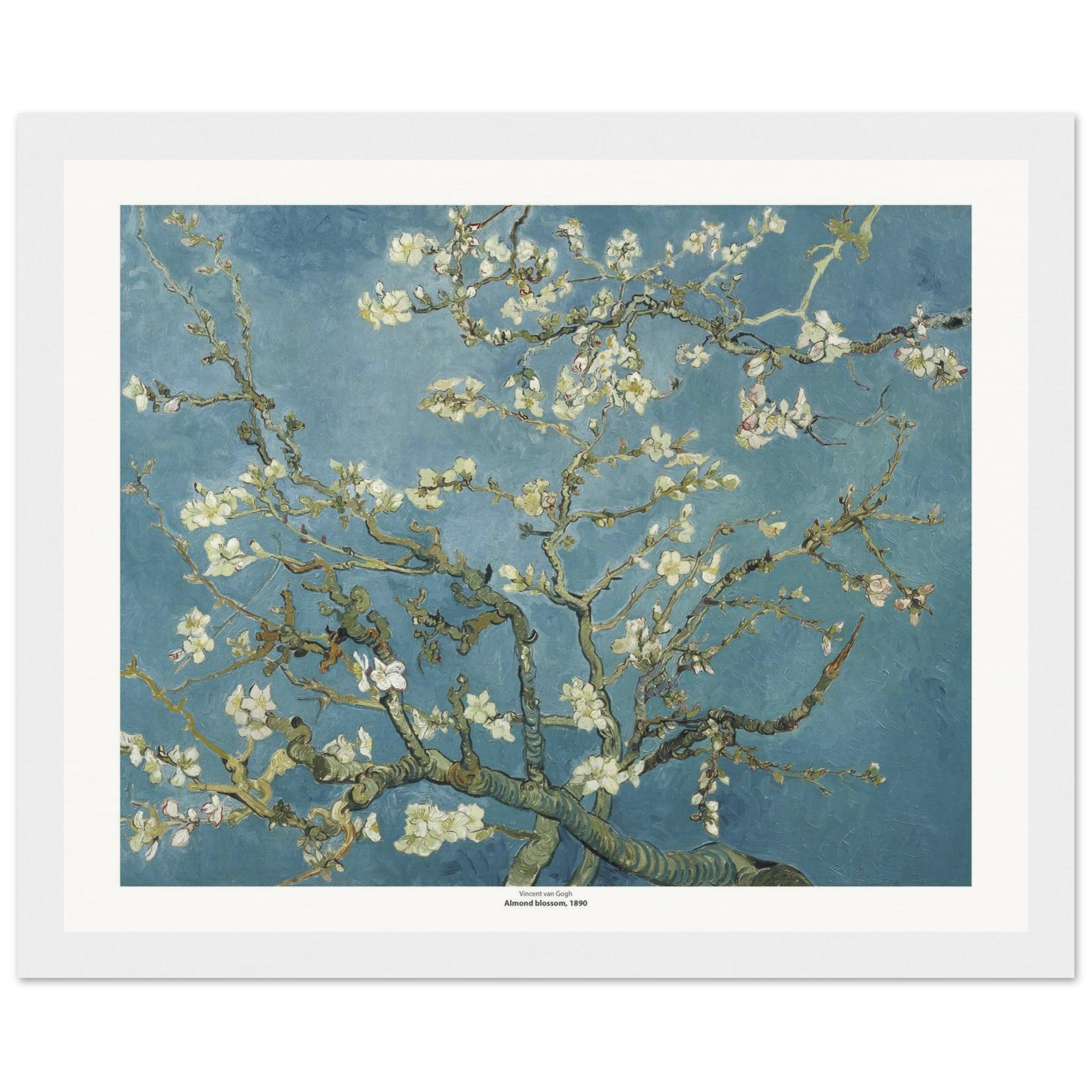 d48b2624-263a-4e68-a211-d106bb7dc1b2