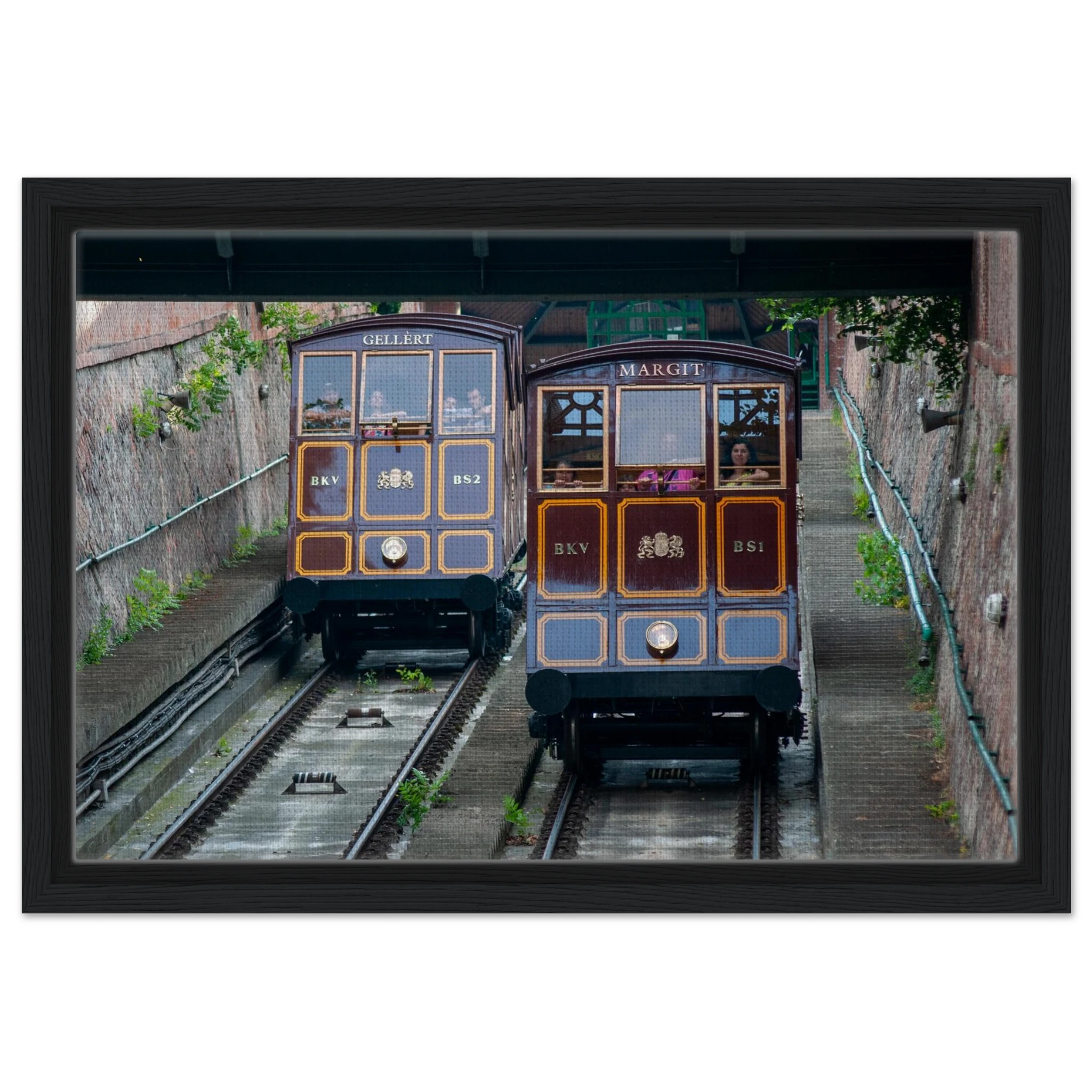 d684fca4-21dc-49da-b522-ea03e8427683