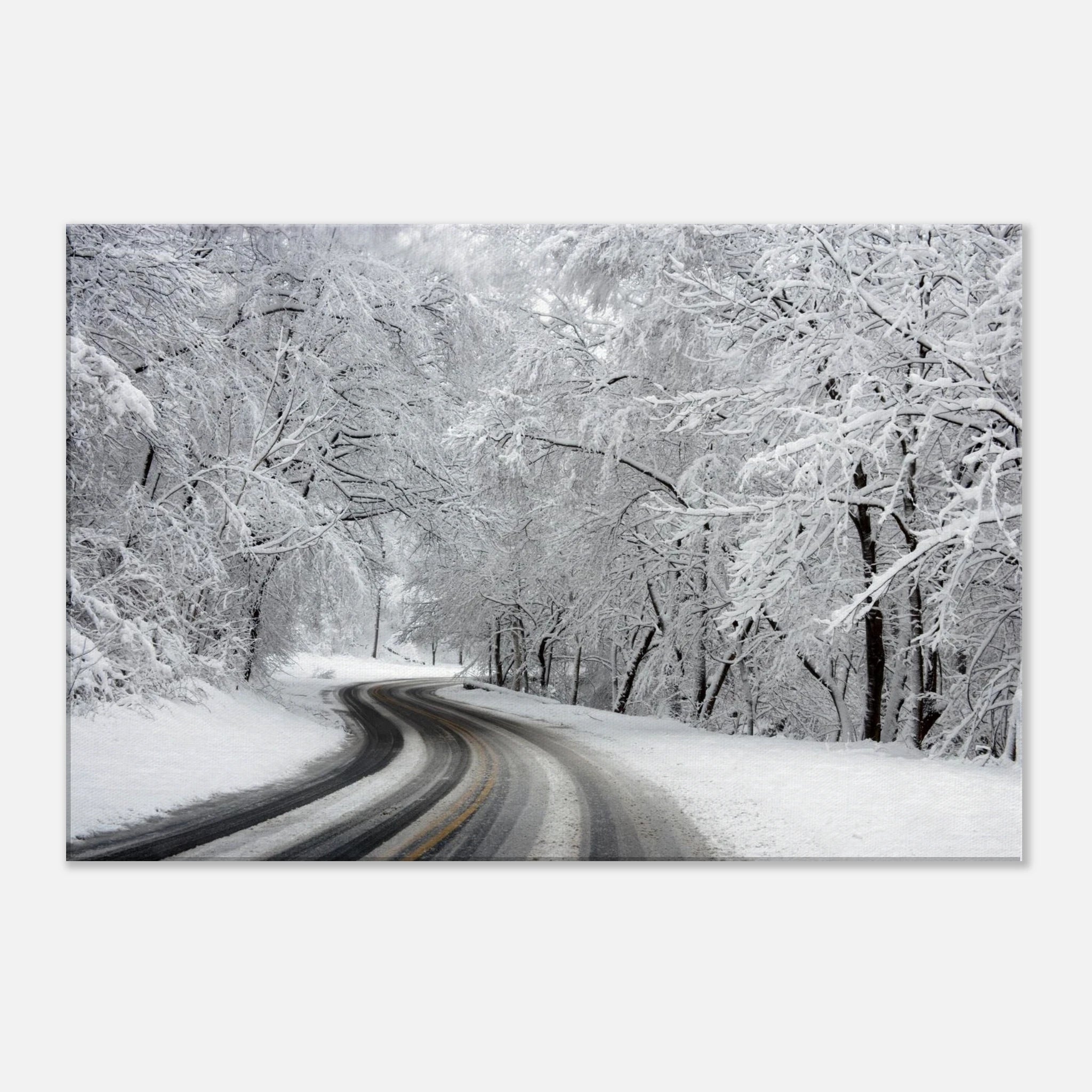 d7805149-0675-431e-b326-3f953386b1a2