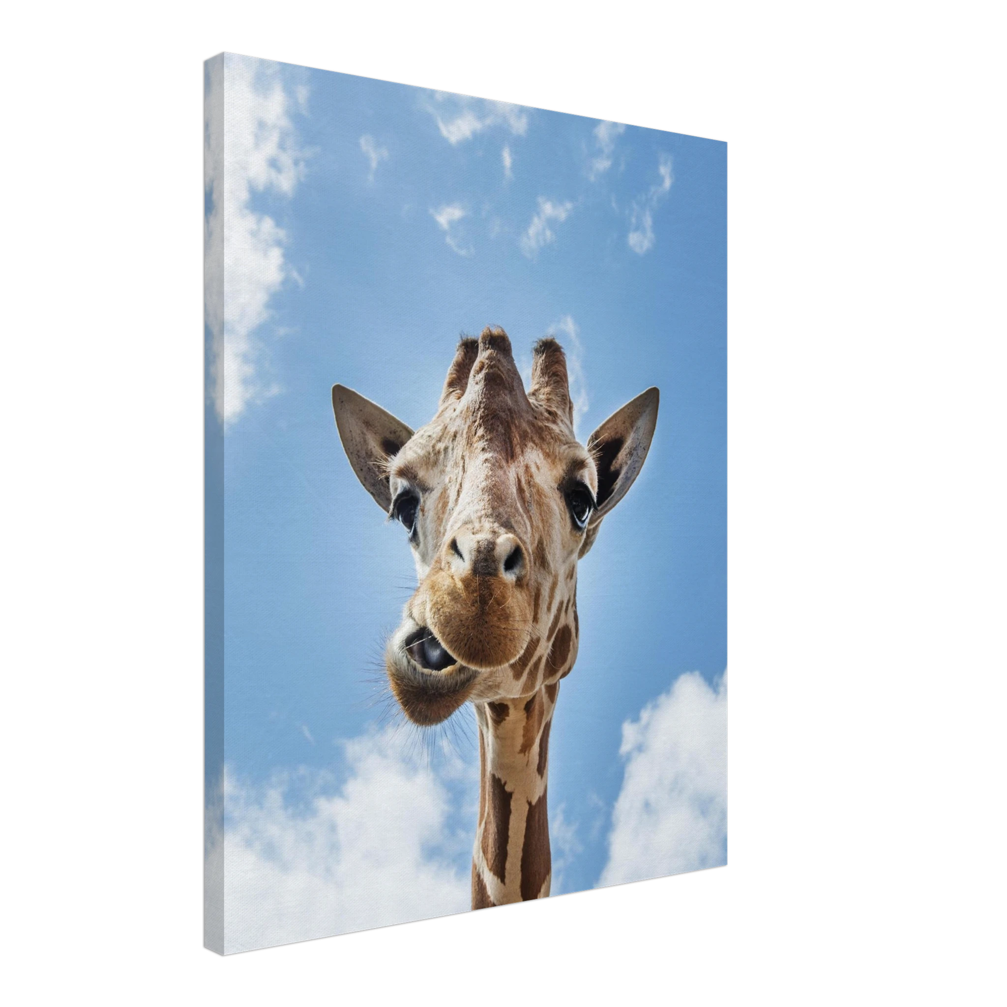 d79ed9cb-6bc8-4116-8ed6-d641defb000c