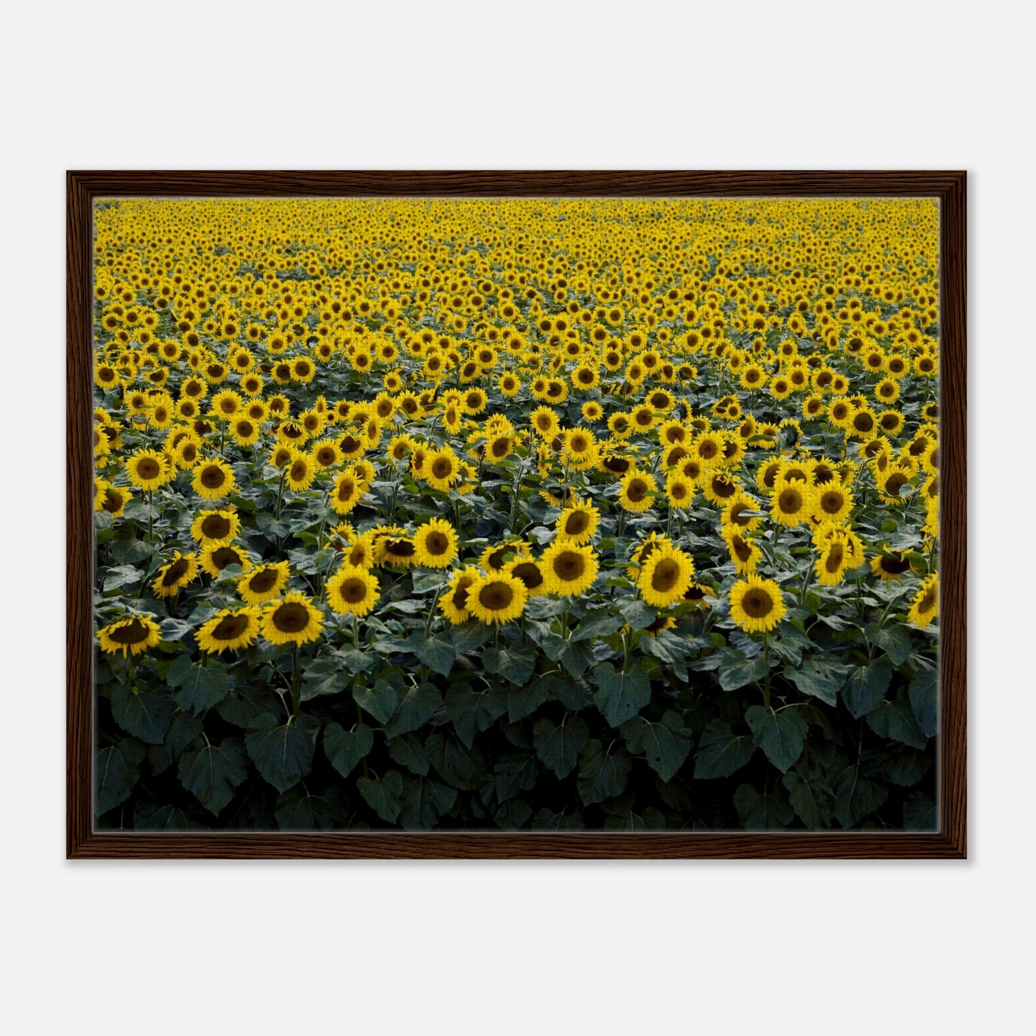 da5bd24e-d5d4-4ab3-9b71-15b8a8f082a4