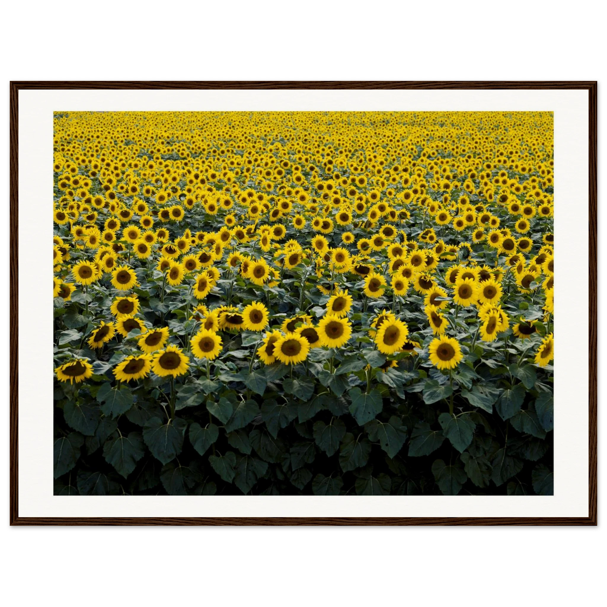 da72ceab-5de0-4704-8047-9e19f4ccda48