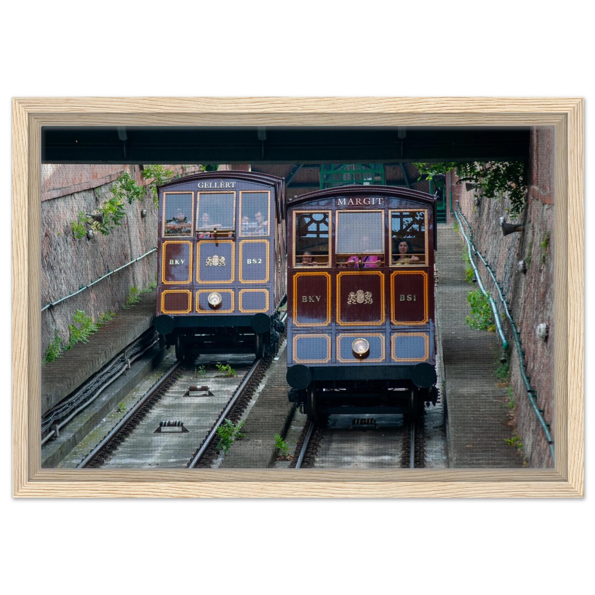 db3a6ba1-86b3-41ba-98b2-865a0c5c5123