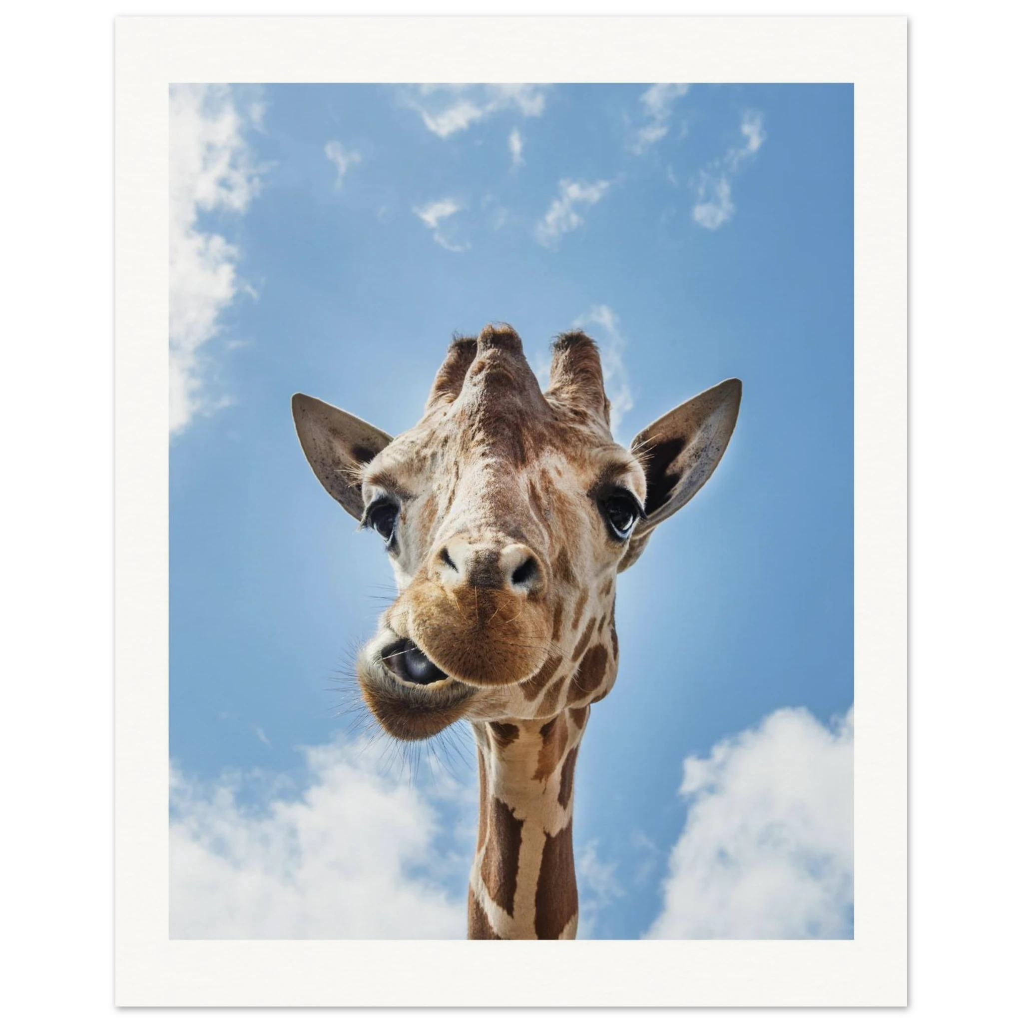 db3d6e1f-e958-4252-a4e7-4bacb8036c1b