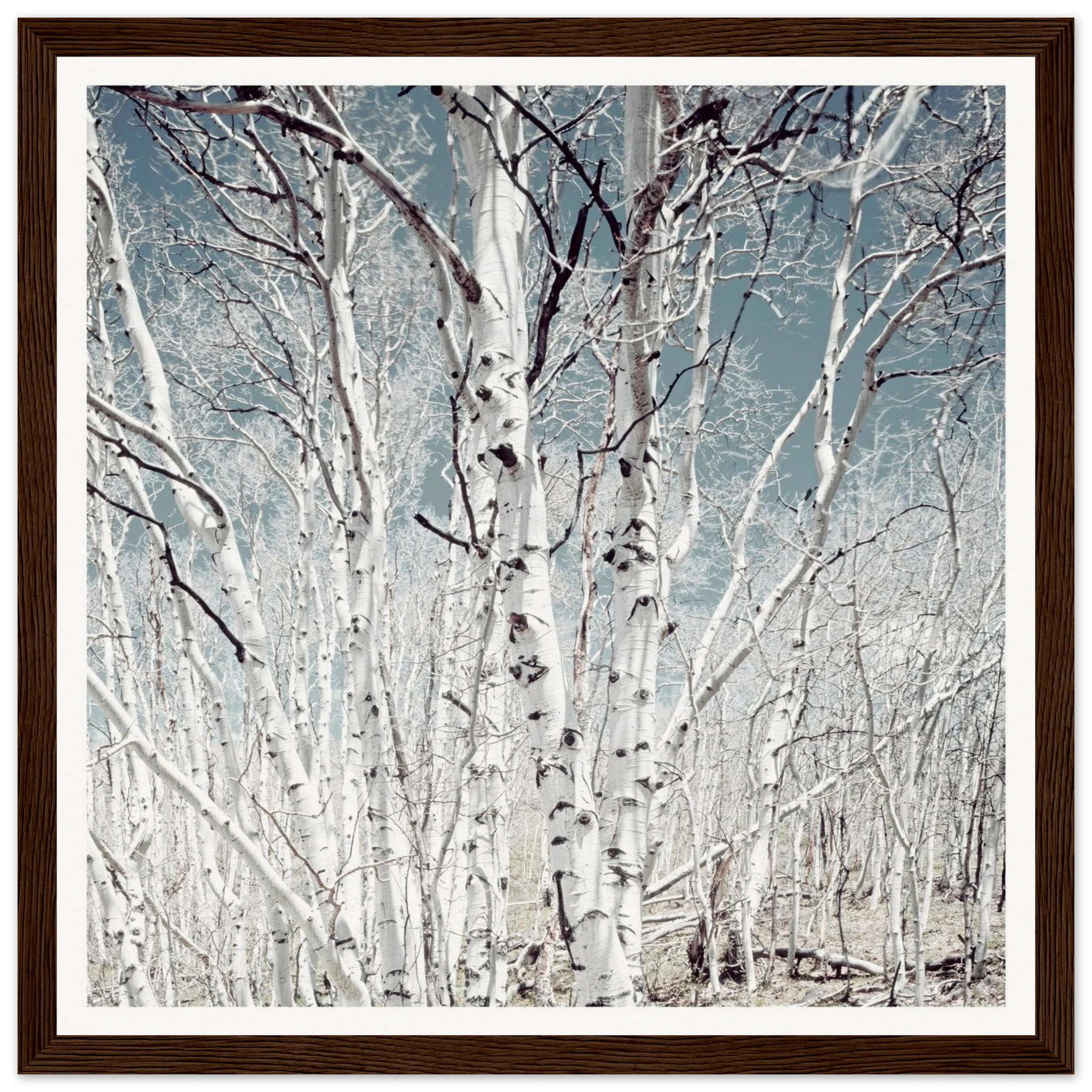 e21b4300-0706-4128-adb1-6fddfef7878f