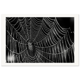 e4efa1fa-1adf-41b0-8fb5-727680c1b551