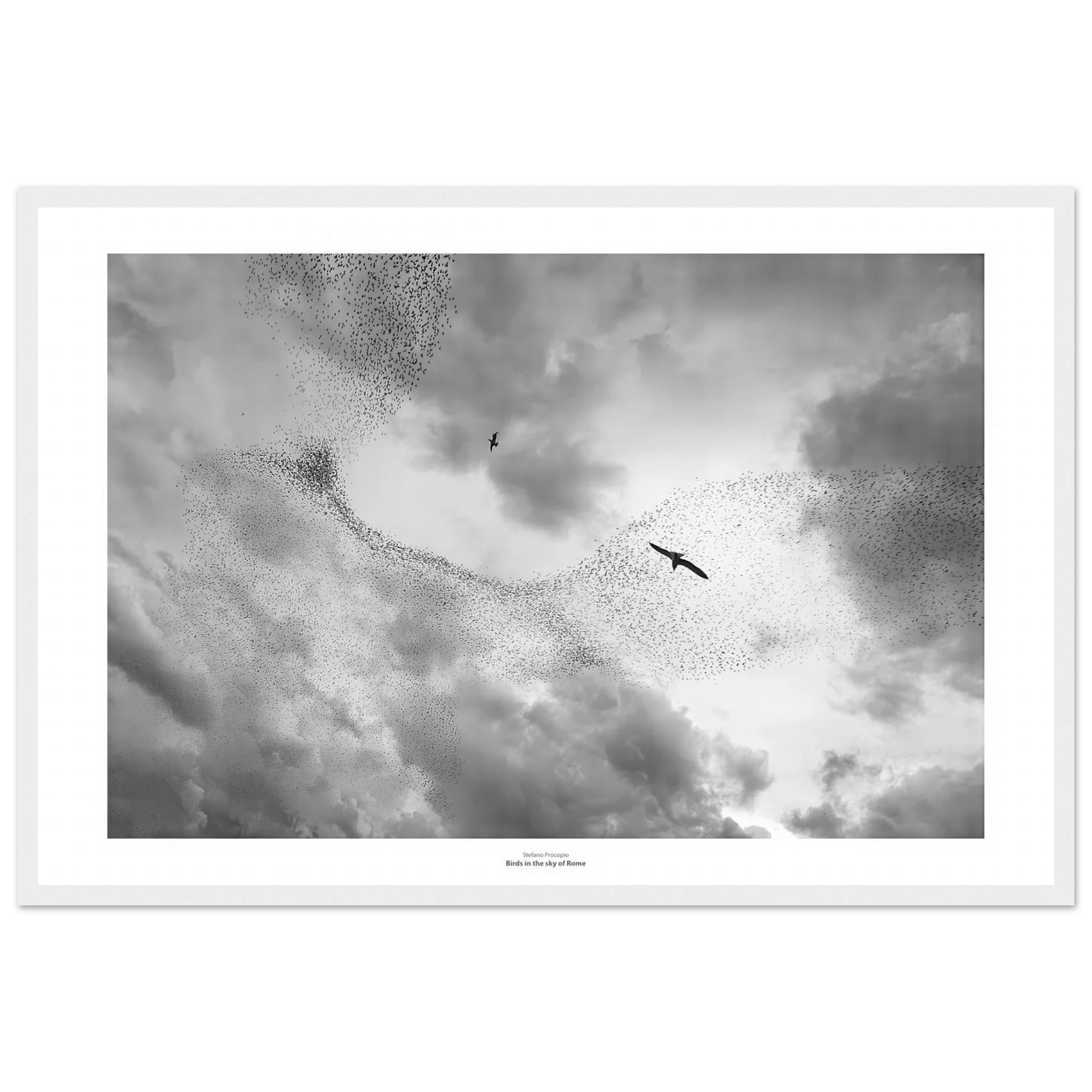 e5ff4bbd-781b-4c13-9373-416f528bbcc1