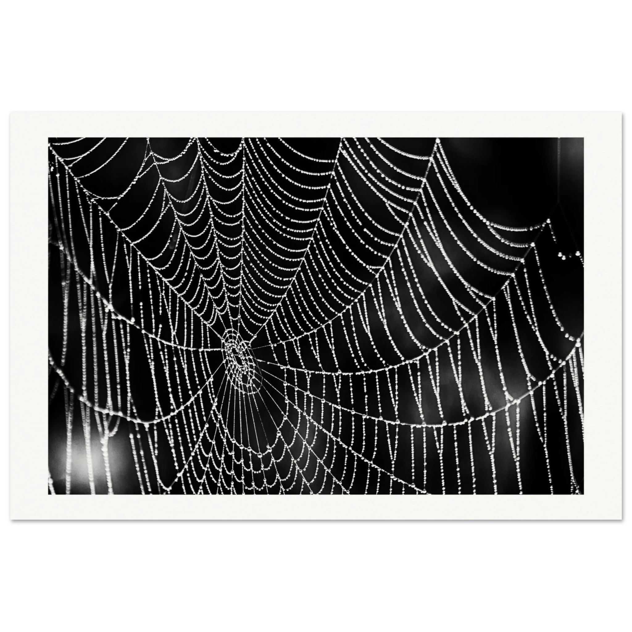 e626fb2f-5873-4898-b9ec-a94688b9a53c