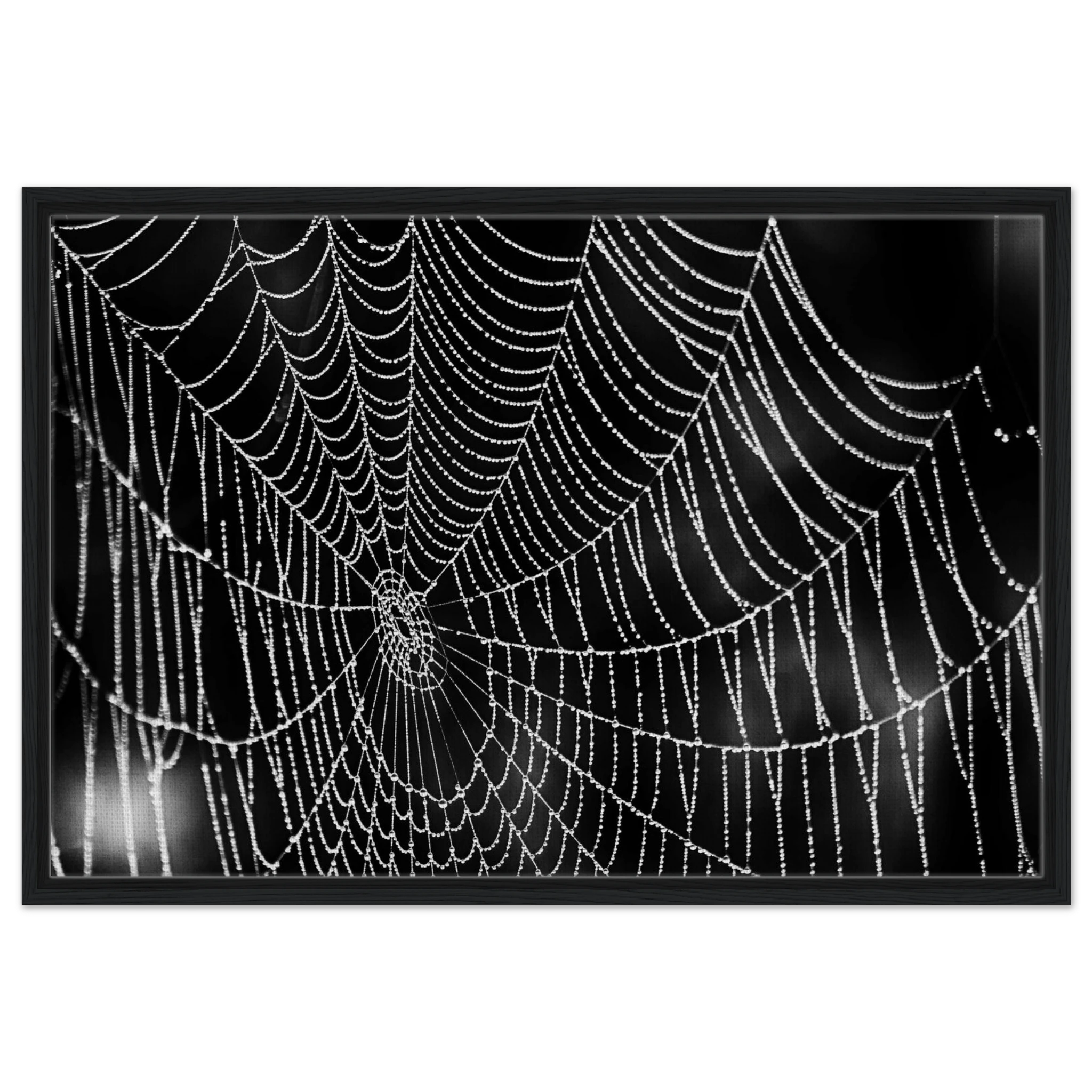 e7af64c4-8dad-4f0a-a1e8-b52be7e047cd