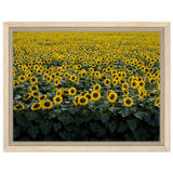 e95c1809-63f8-4929-a8d2-452bbde9fd7c