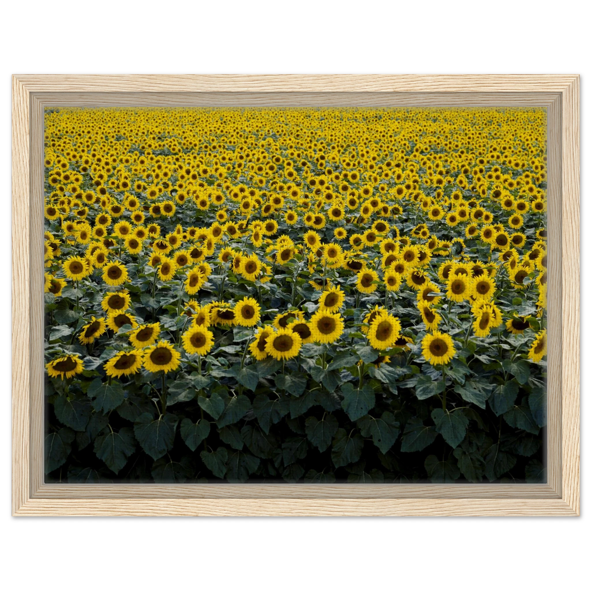 e95c1809-63f8-4929-a8d2-452bbde9fd7c