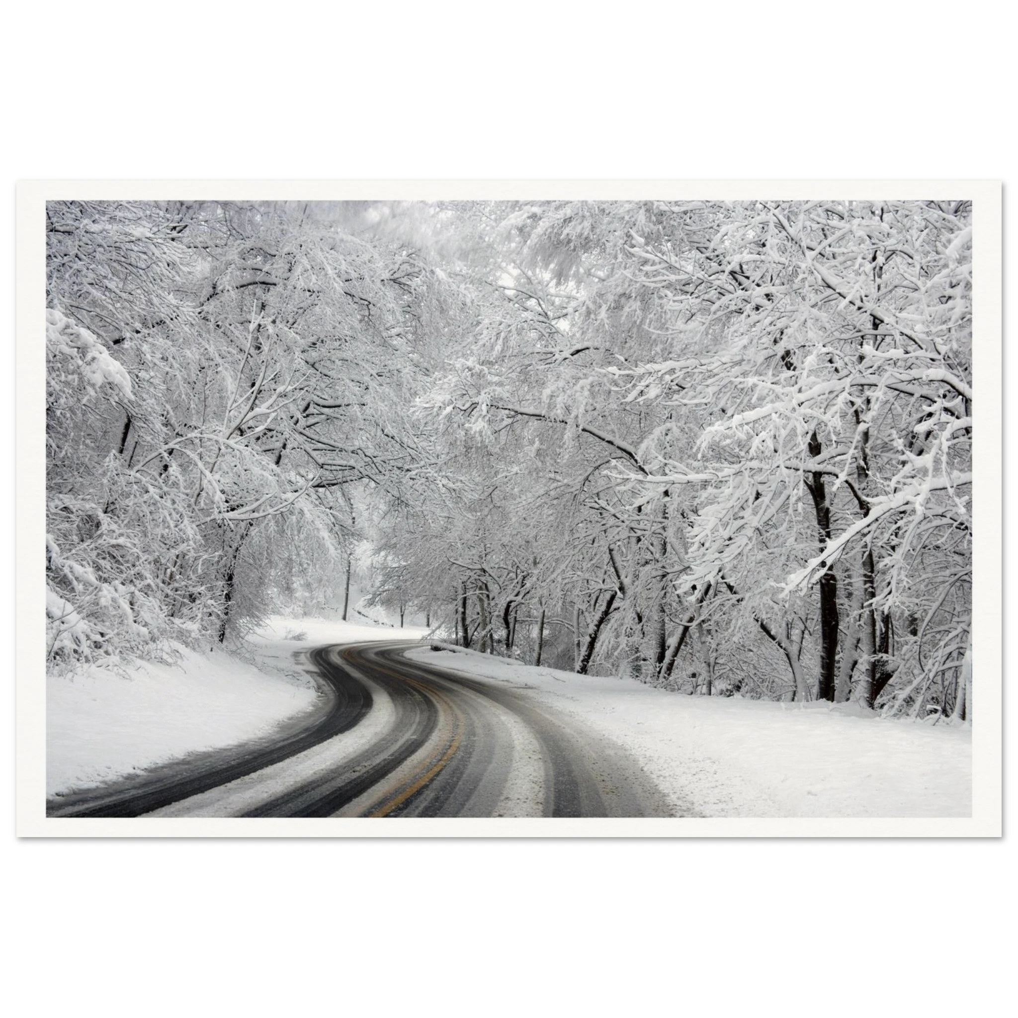 e9873e9c-32c1-47fd-b004-9c237d7c0e90