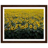 eb9ecc0c-8f77-4538-b9a2-fcaf15b27023