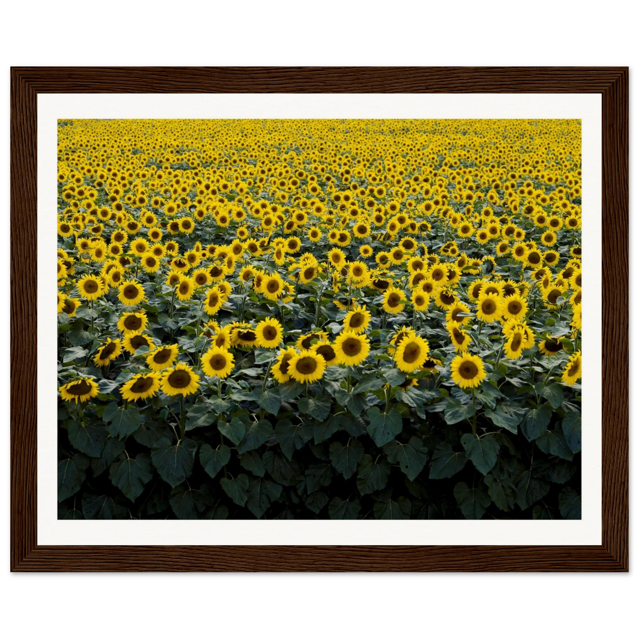 eb9ecc0c-8f77-4538-b9a2-fcaf15b27023