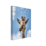 ef9205a6-ab49-473a-bb18-7f55a6d3e1a4