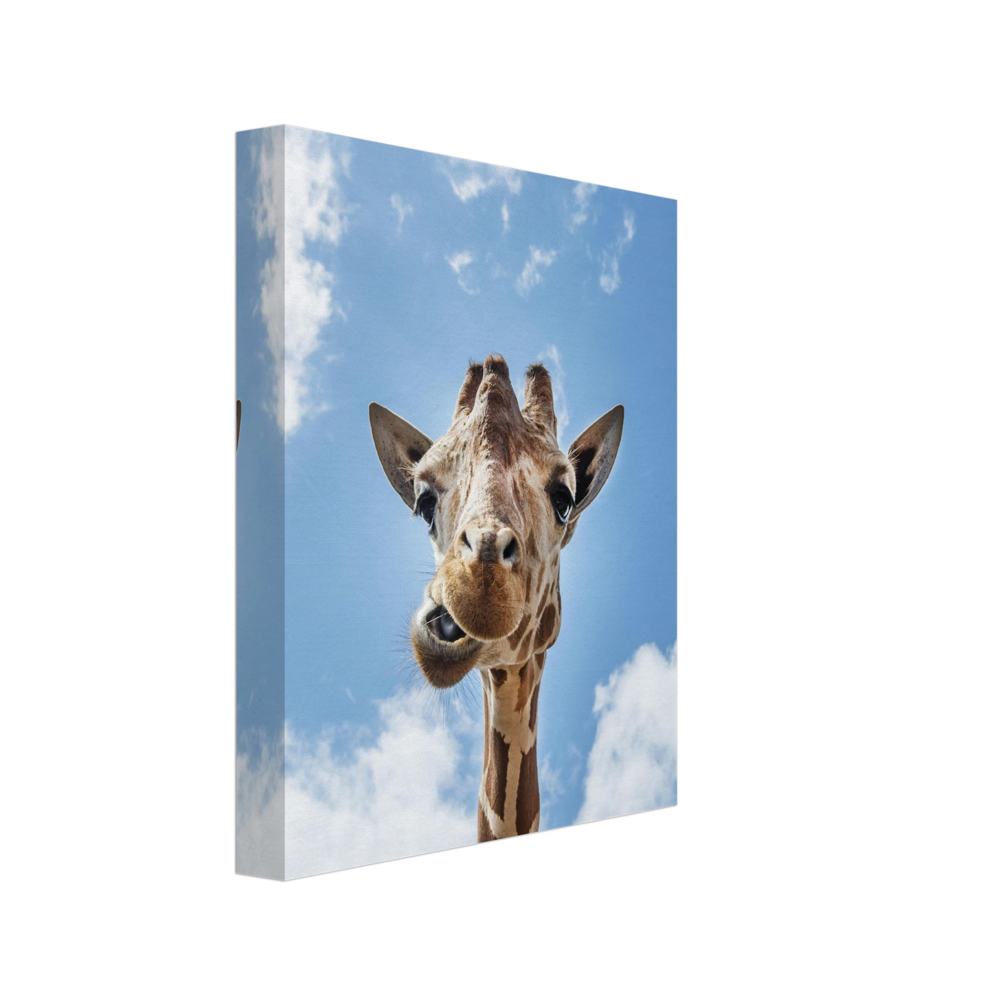 ef9205a6-ab49-473a-bb18-7f55a6d3e1a4