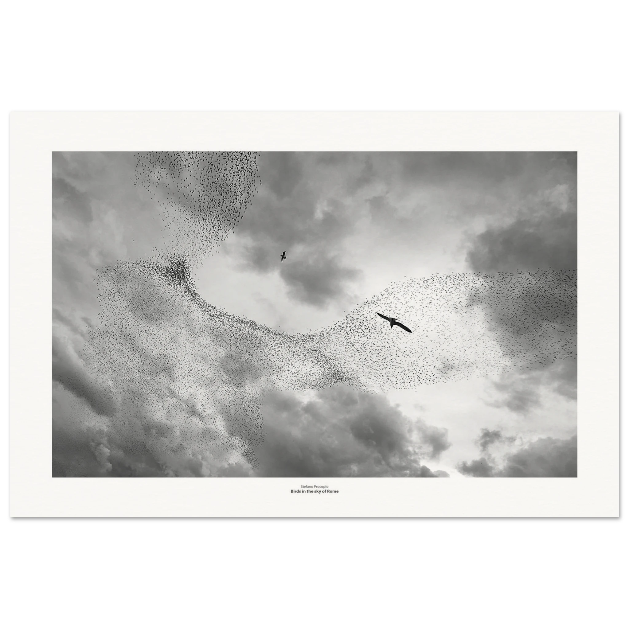 efb4618f-0970-444c-ac2d-4a127833809c