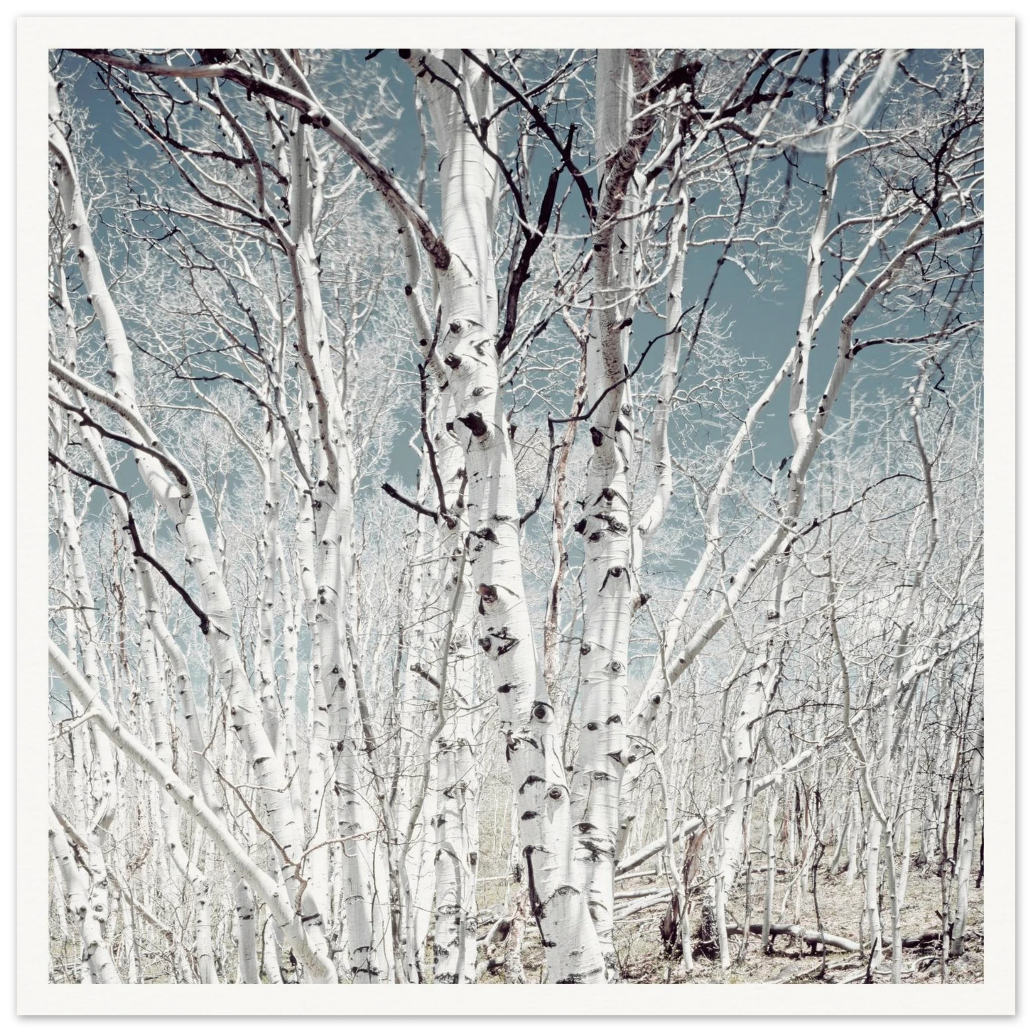 f600fbff-a358-45d1-9da6-560f1e41717c